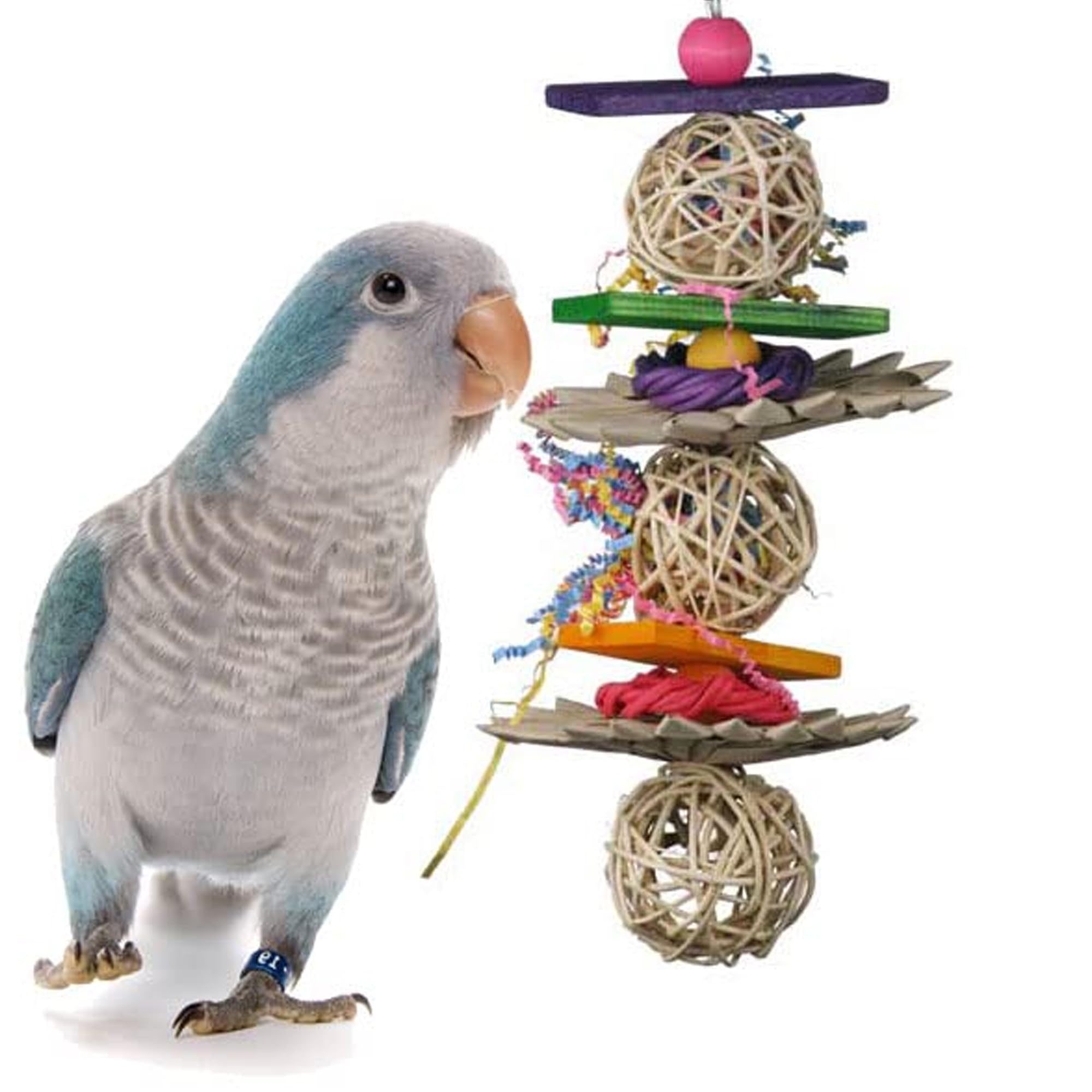 Super Bird Creations 12 By 5-Inch Crunch And Munch Bird Toy, Medium