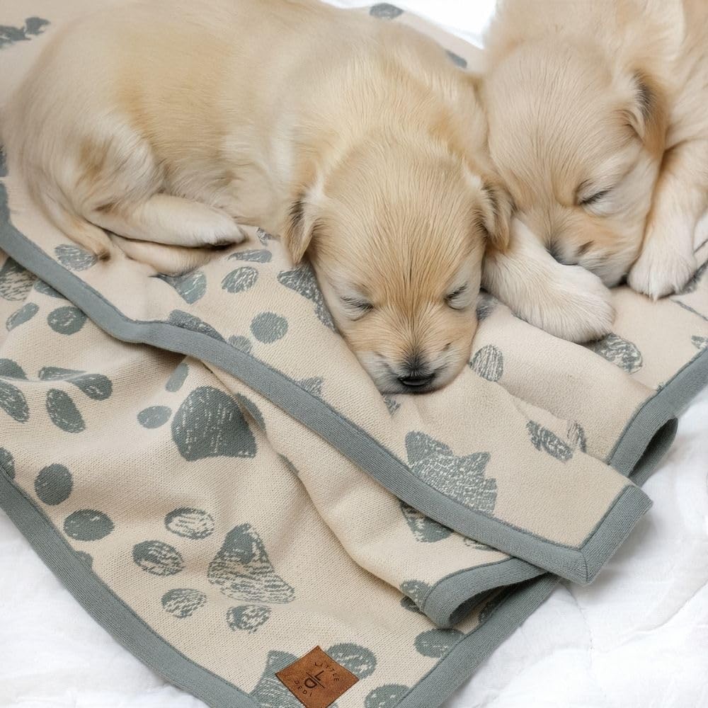 Little Dedi Small Pet Blanket - 100% Organic Cotton, Double Layer Plush Sherpa, Soft Plush, Green Jacquard Paw Knit, 30''X38'',