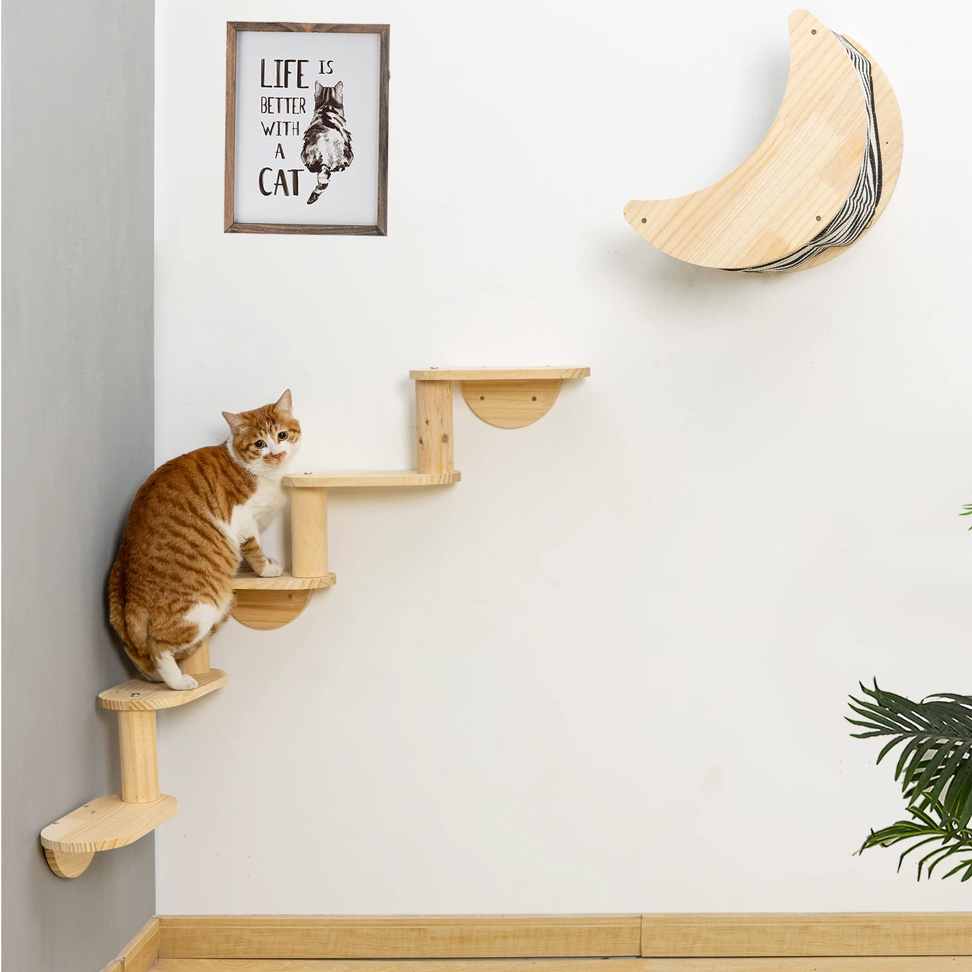 Cat Shelf for Wall Mount Hammock with 5-Levels Climbing Ladder Moon Cat Shelves and Perches for Activity Indoor Cats Wall Furnit