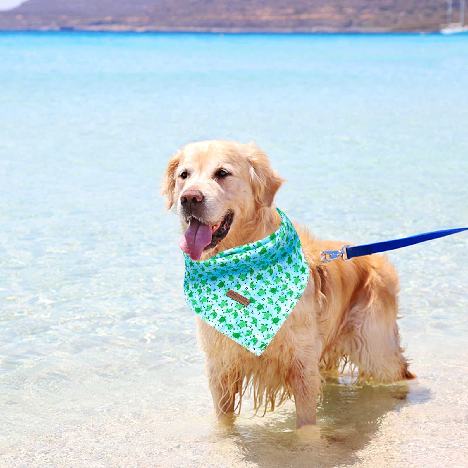 Lionheart Glory Dog Bandana 1 Pack Washable Soft Blue Dog Scarf, Summer Bandana Square Adjustable Dog Bandanas For Small Medium