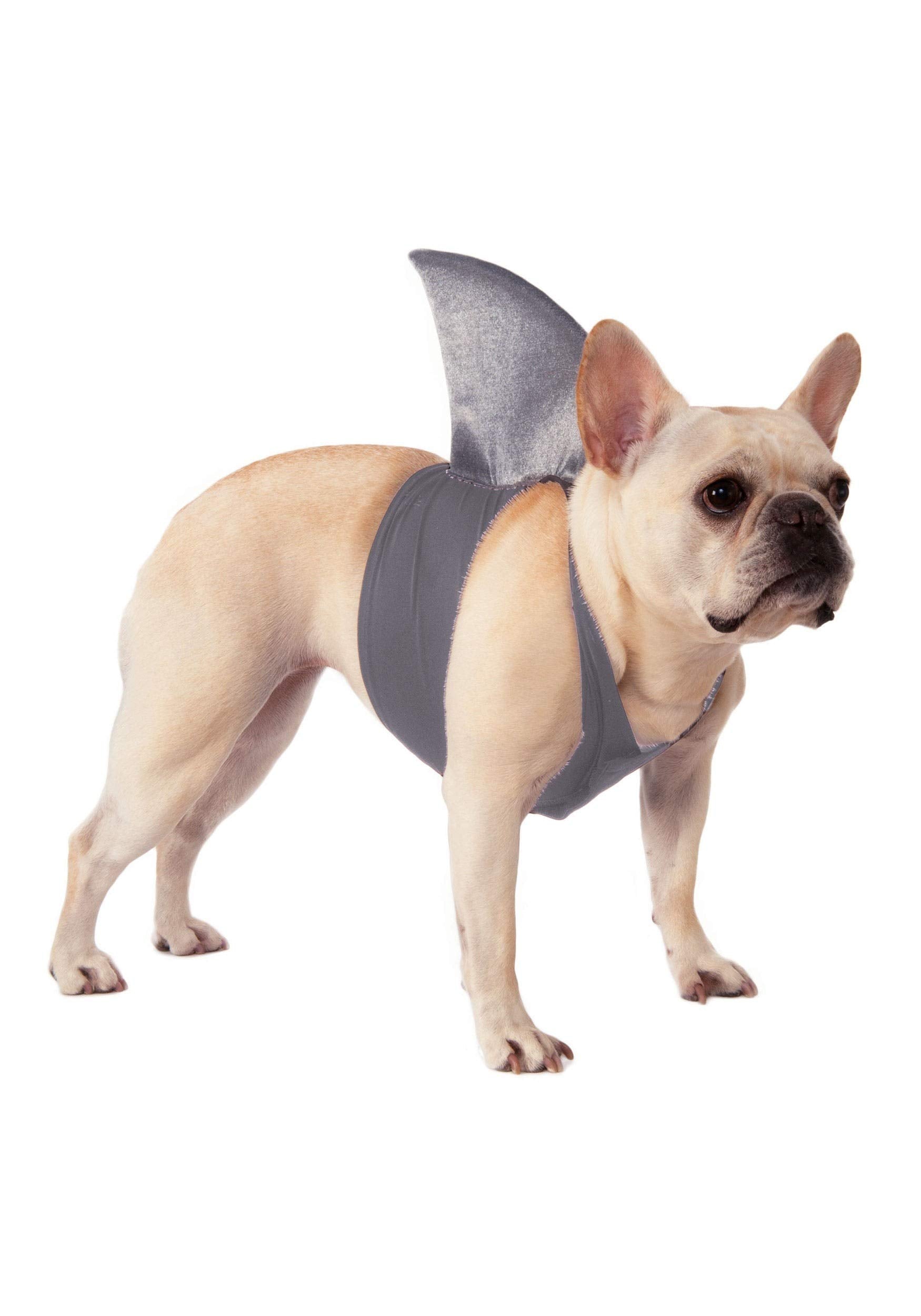 Rubie'S Shark Fin Dog Costume, Medium/Large
