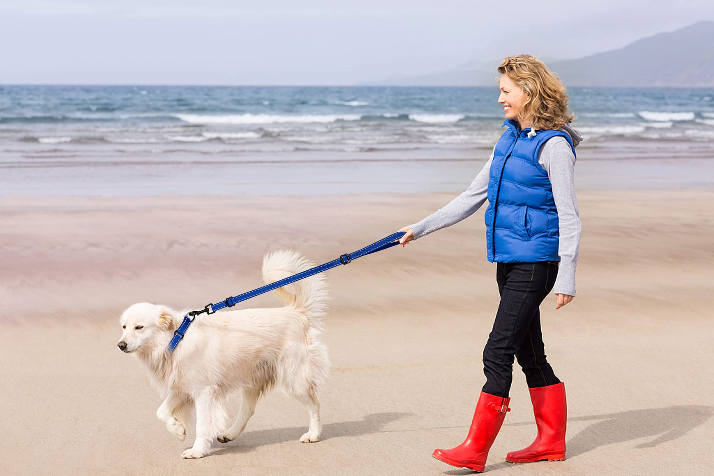 Martingale Dog Collar And Leash Set Martingale Collars For Dogs Reflective Martingale Collar For Small Medium Large Dogs(Blue&L)