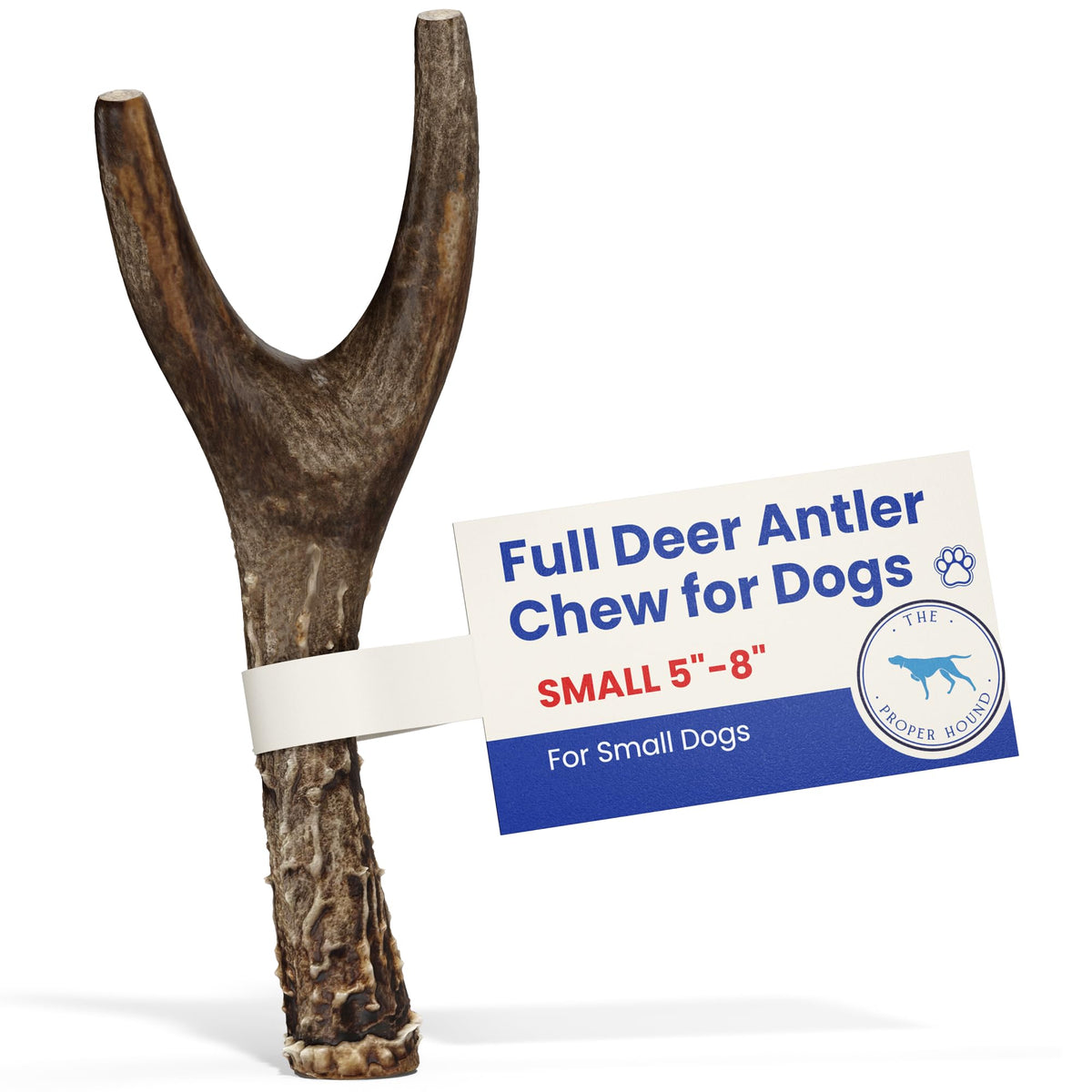 The Proper Hound Small Whole Deer Antler For Dogs [Long Lasting] - Deer Bones For Dogs Humanely Sourced - Deer Antlers For Small