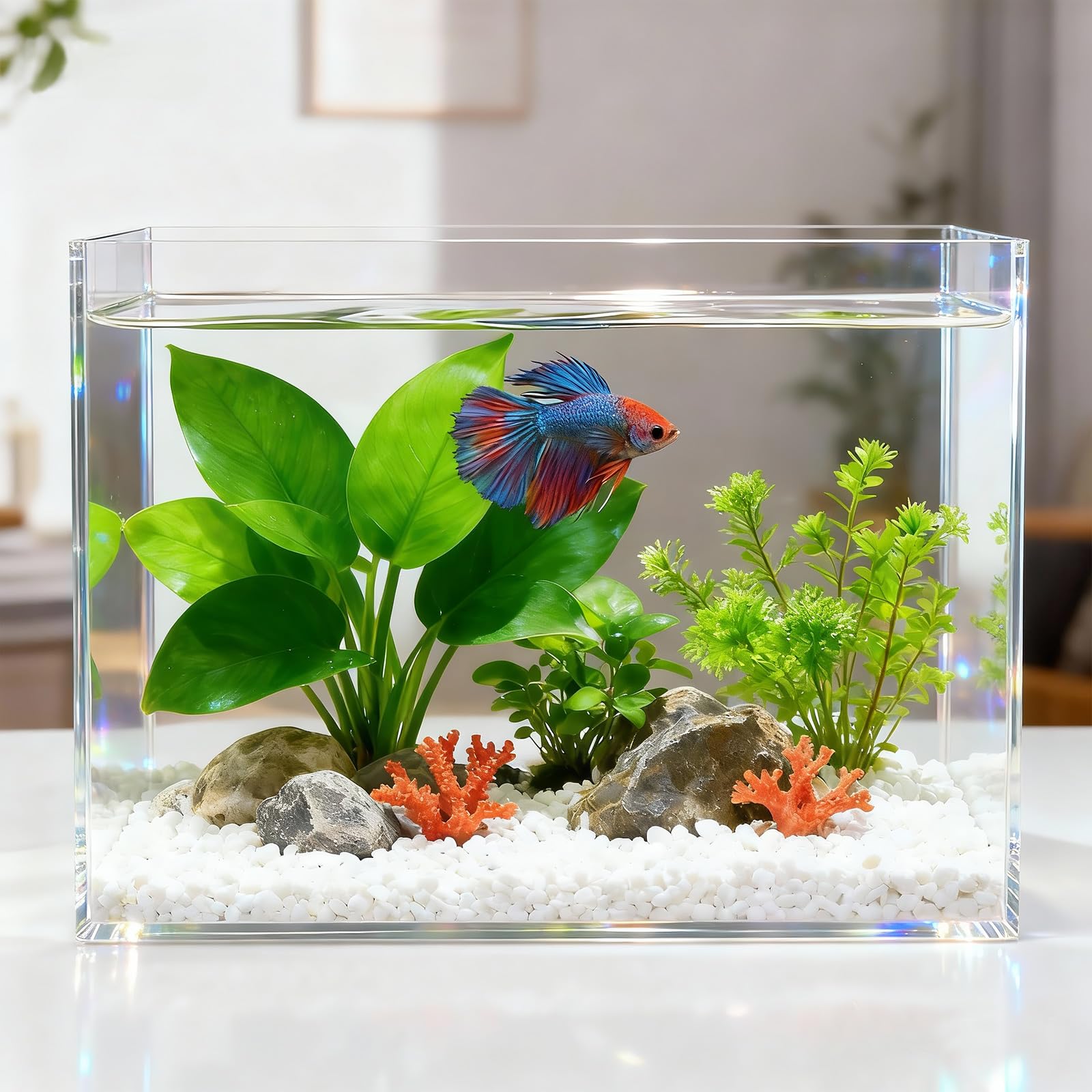 Ferrochef 3 Gallon Acrylic Fish Tank with Mat, Small Aquarium for Raising Betta Fish, Goldfish, Snails, Snakes, Shrimp, and Aqua