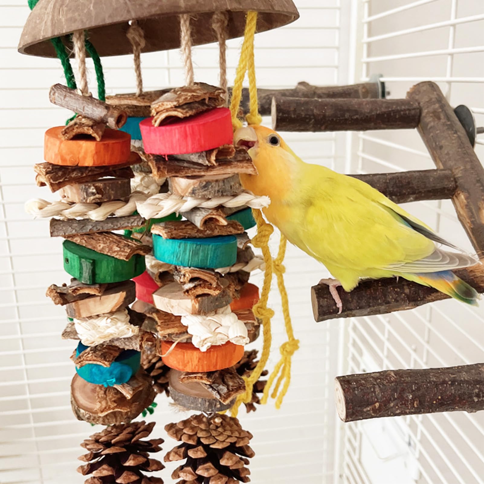 Bird Chew Toys Bird Toys, Hanging Chew Toys For Large Birds Parrot Toys For Large Birds Bird Cage Accessories For Parakeet, Afri