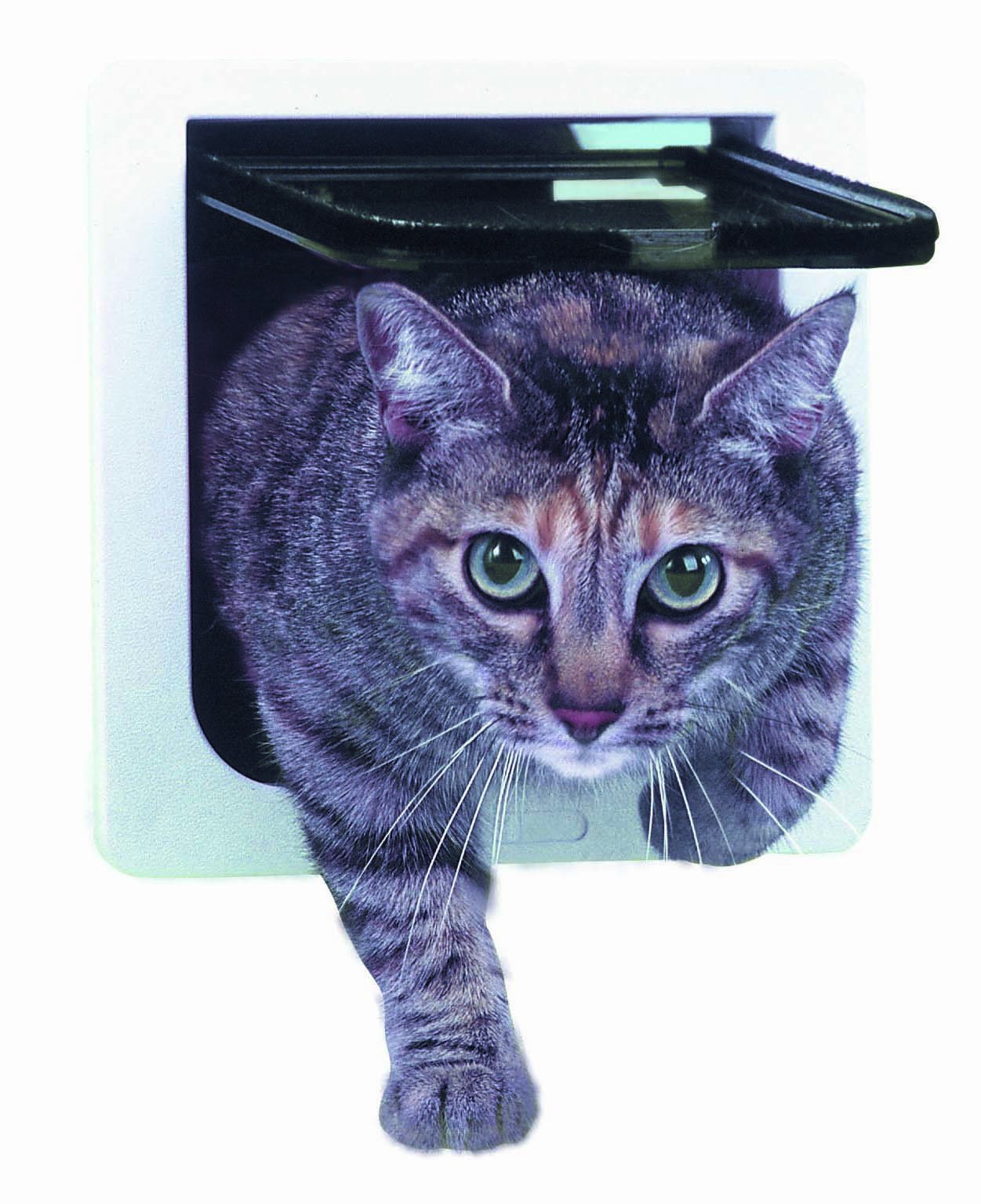 Perfect Pet Cat Flap Door With 4 Way Lock Pet Door, 6 1/4 X 6 1/4'' Flap Size