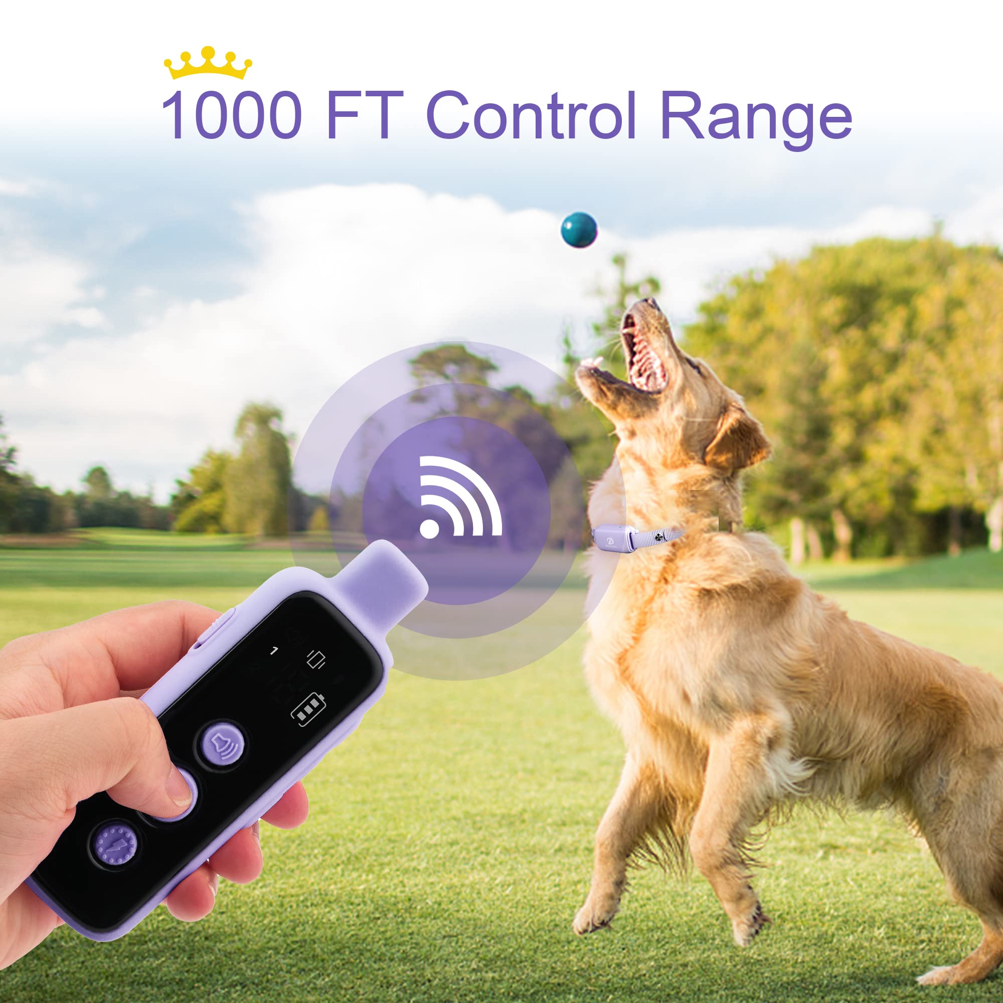 Bousnic Waterproof Rechargeable Shock Collar for Dogs - Remote Training Collar with Beep, Vibration, Safe Shock Modes (Purple, 8-120 lbs)