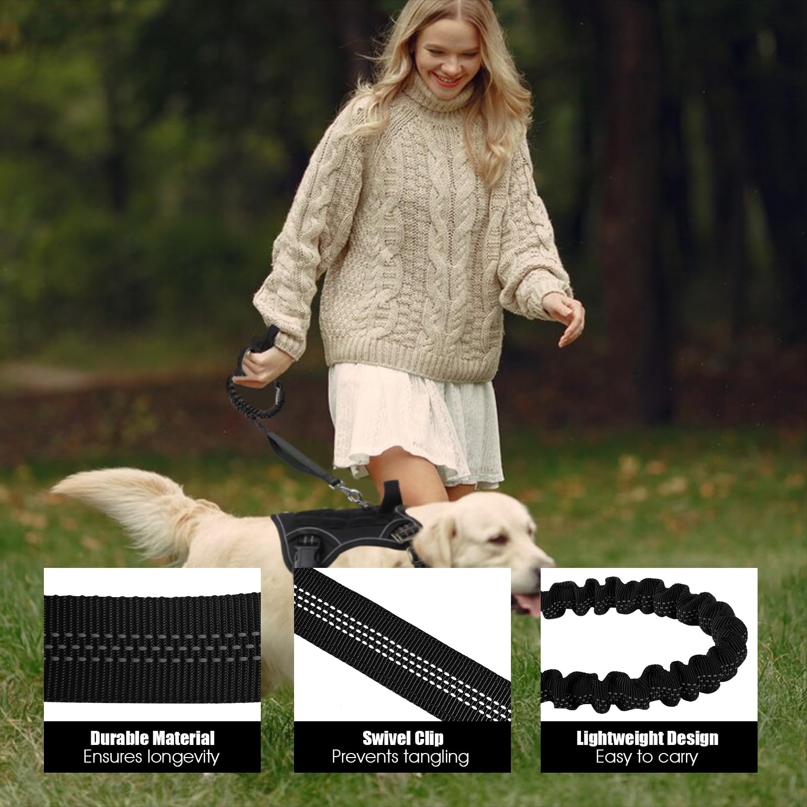 BUMBIN 6Ft Bungee Leash With 2 Handles for Large, Medium, Small Dogs - Heavy Duty, No Pull Shock Absorbing With Car Seat Belt fo