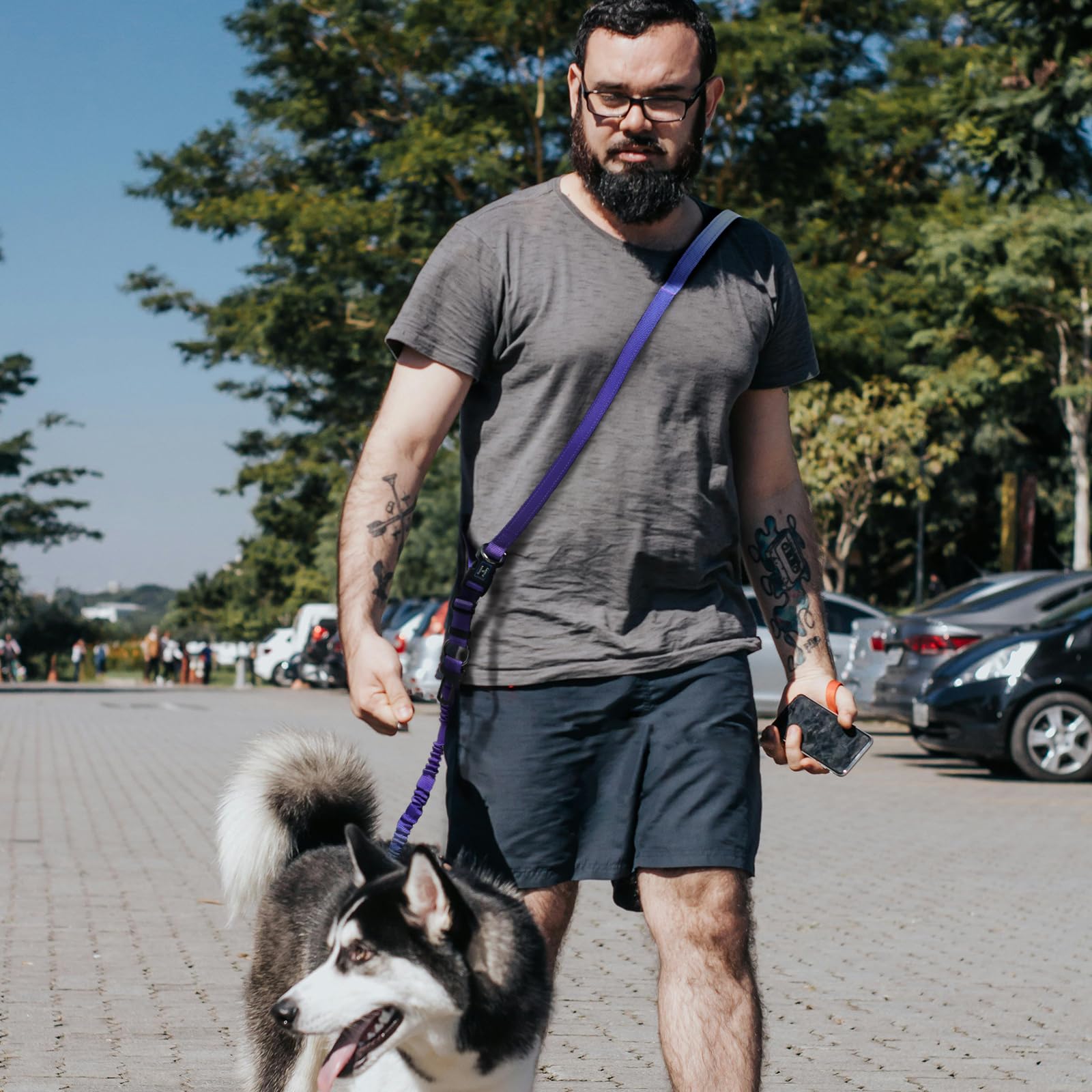 Roses&Poetry Hands Free Dog Leash For Medium Large Dogs Heavy Duty, No Pull Bungee Dog Running Waist Leash For Walking Training