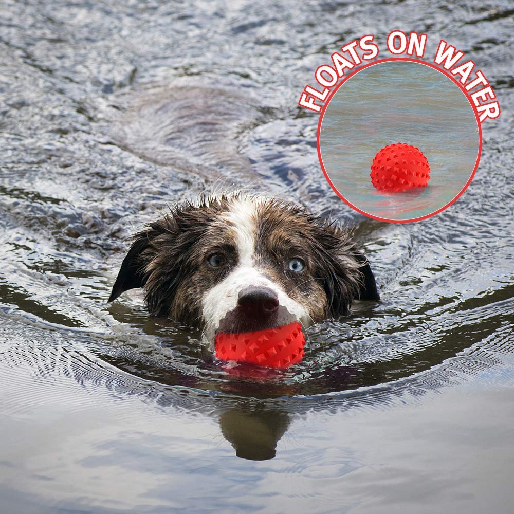 RHL Dog Squeaky Toys for Aggressive chewers Large Breed Balls Interactive Ball Toy Almost Indestructible Tough Durable Stick Med