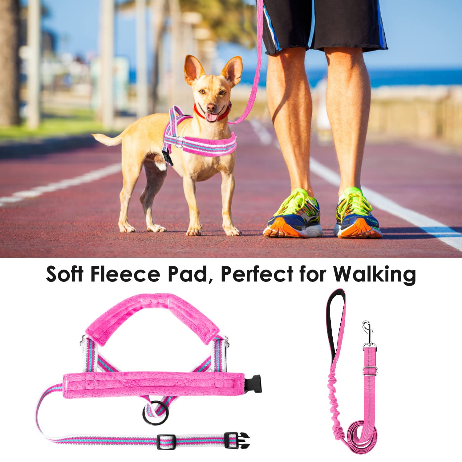 Lukovee Walking Dog Harness And Leash, Heavy Duty Adjustable Puppy Harness Soft Padded Reflective Vest Harness Anti-Twist 4Ft Pet Lead Quick Fit Lightweight For Small Dog Cat (X-Small, Fuschia)