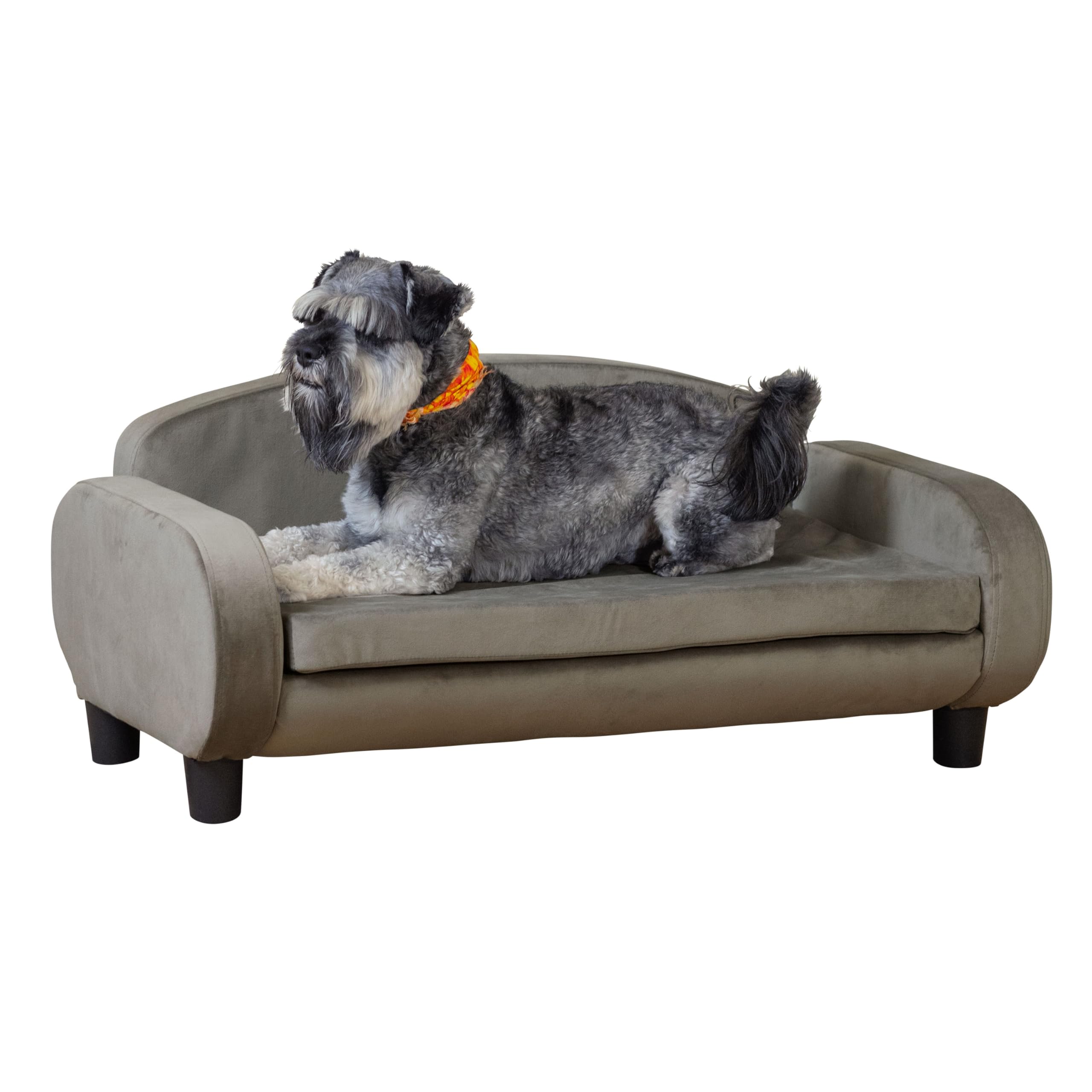 Paws & Purrs Dog Sofa Bed - 35.5'' Modern Pet Couch For Medium Size Dogs With Washable Removable Cover - Stylish Elevated Dog Be