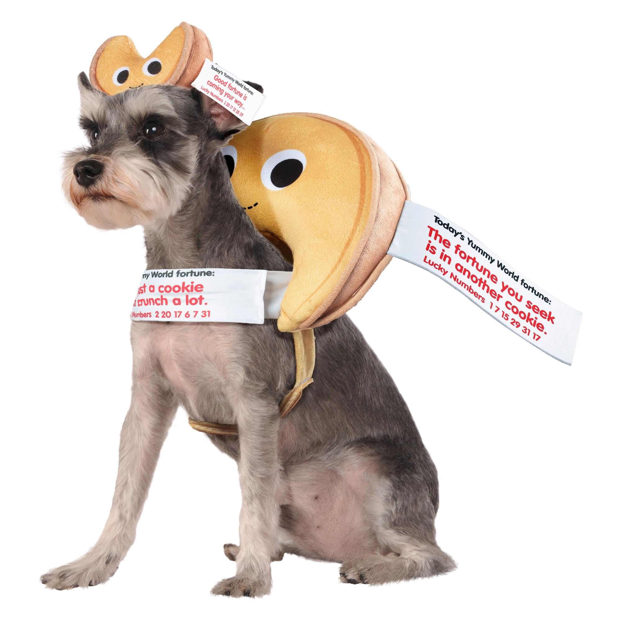 Rubie'S Yummy World Fortune Cookie Pet Costume, As Shown, Small/Medium