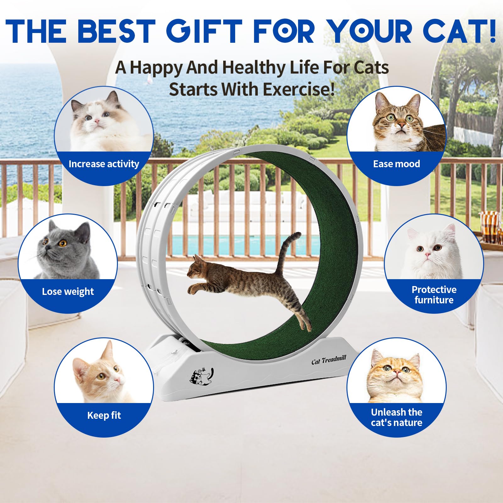 Homegroove Plastic Cat Wheels For Indoor Cats, Cat Exercise Running Treadmill Wheel With Carpeted Runway For Kittys Longer Life,