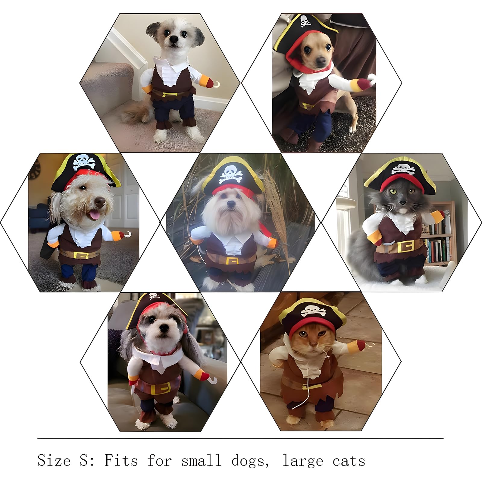 Nacoco Pet Dog Costume Pirates Of The Caribbean Style (Small)