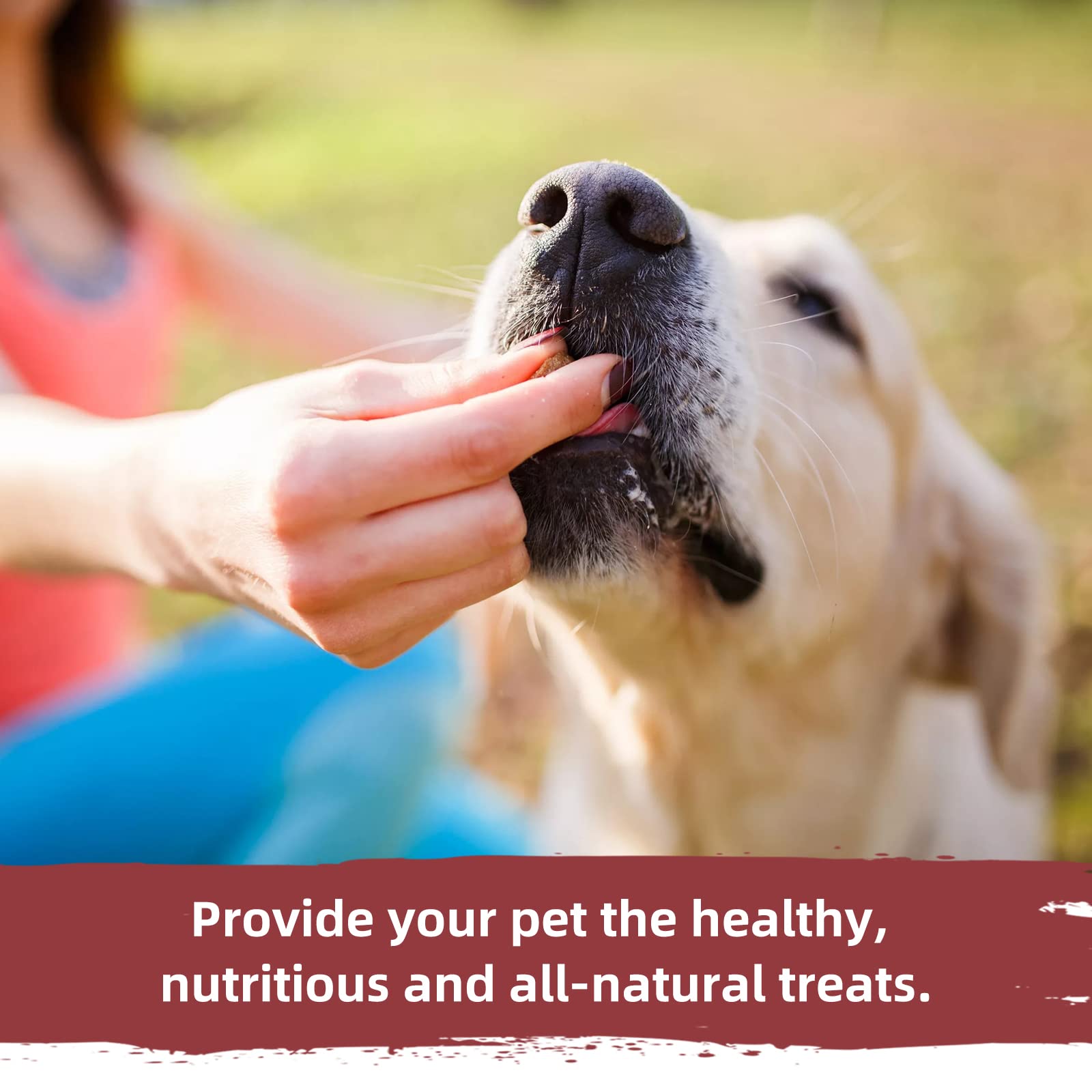 Jungle Calling Soft Chicken Treats for Dog and Cat, Natural Grain Free Chewy Food Snacks for Training Rewards for Small Dogs, Hi