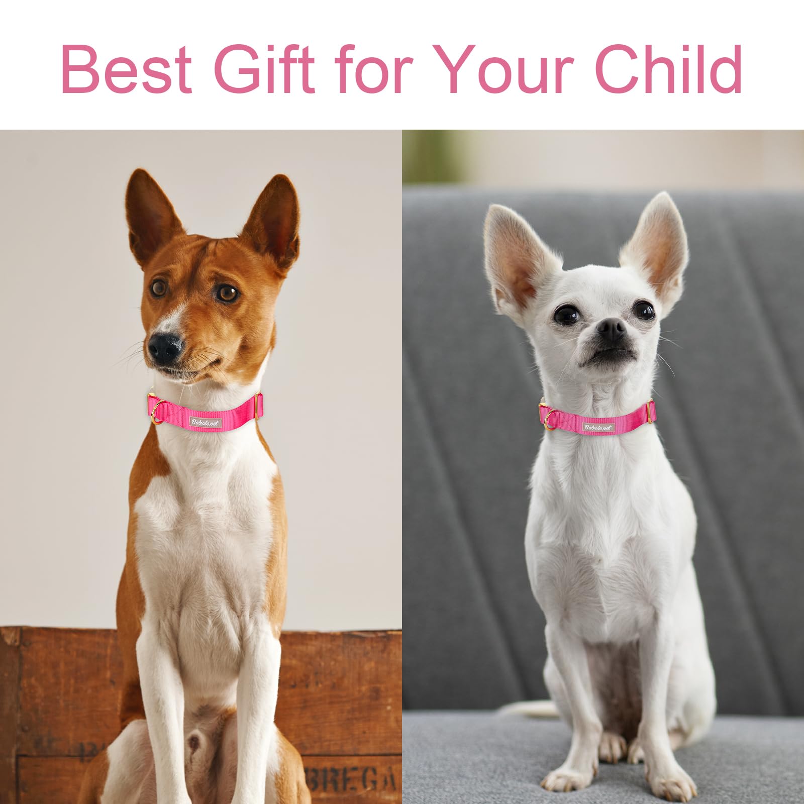 Babole Pet Nylon Dog Collar - Adjustable Rose Red Soft Webbing Dog Collars For Small Medium Large Dogs Boy Girl Puppy Collar Wit