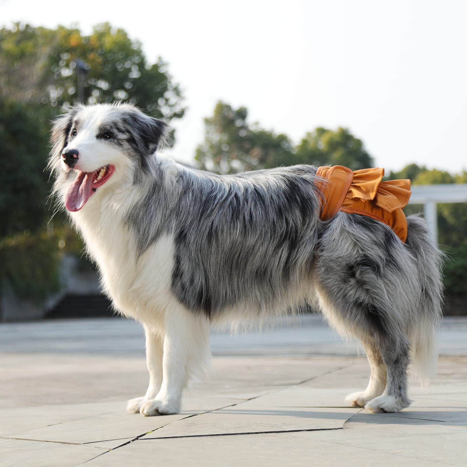 Reusable Dog Diapers Female 3 Pack Washable Highly Absorbent Doggy Diapers Female, Flexible Doggie Diapers, Leak-Proof Durable P