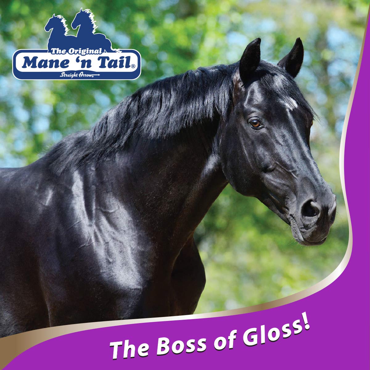 Mane 'n Tail Ultimate Gloss Conditioner 1 Gallon - Deeply Moisturizes, Strengthens & Restores Shine for Soft, Silky Coat, Mane &