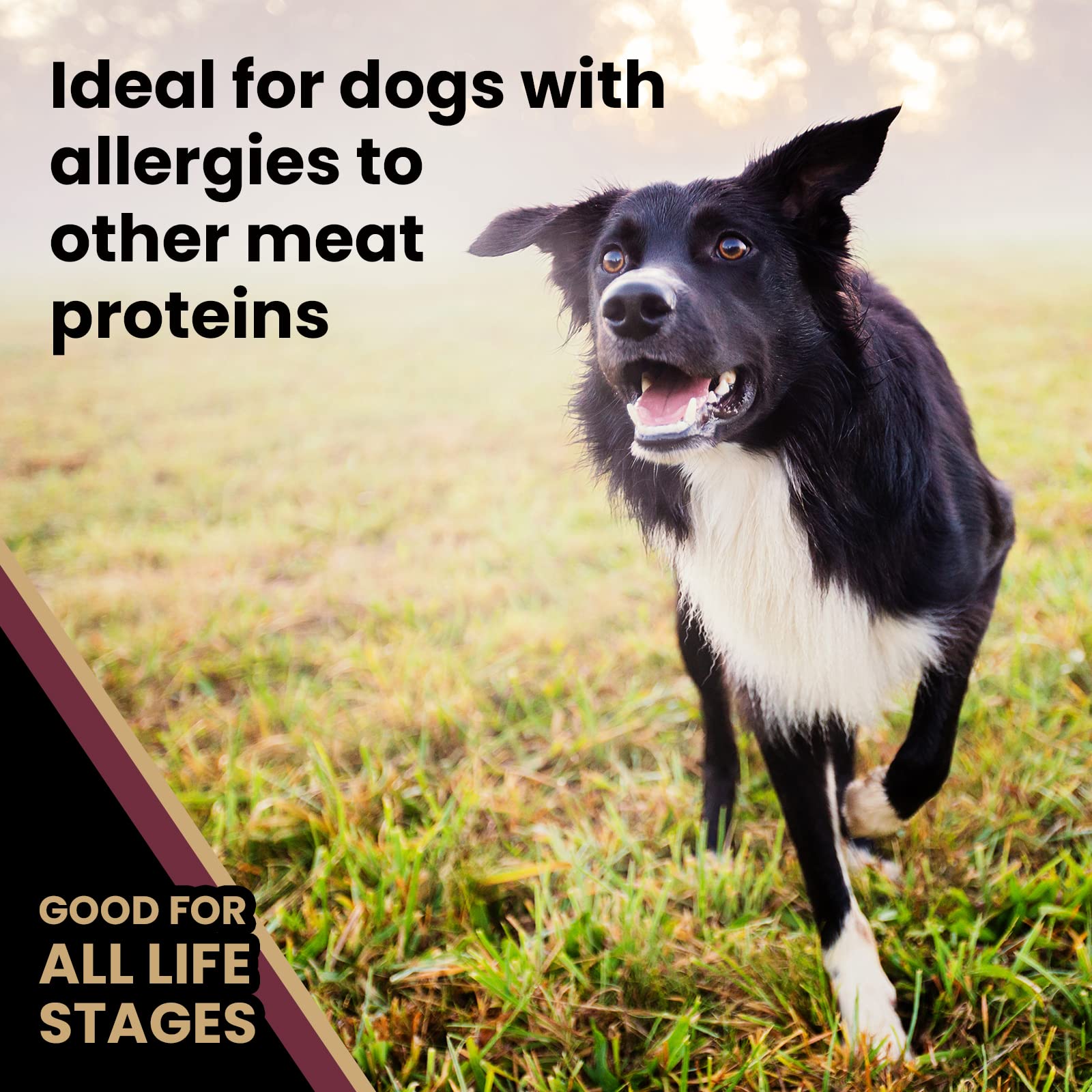 Victor Super Premium Dog Food - Grain Free Lamb Meal & Sweet Potato Recipe - Dry Dog Food for Dogs of All Life Stages - High Pro