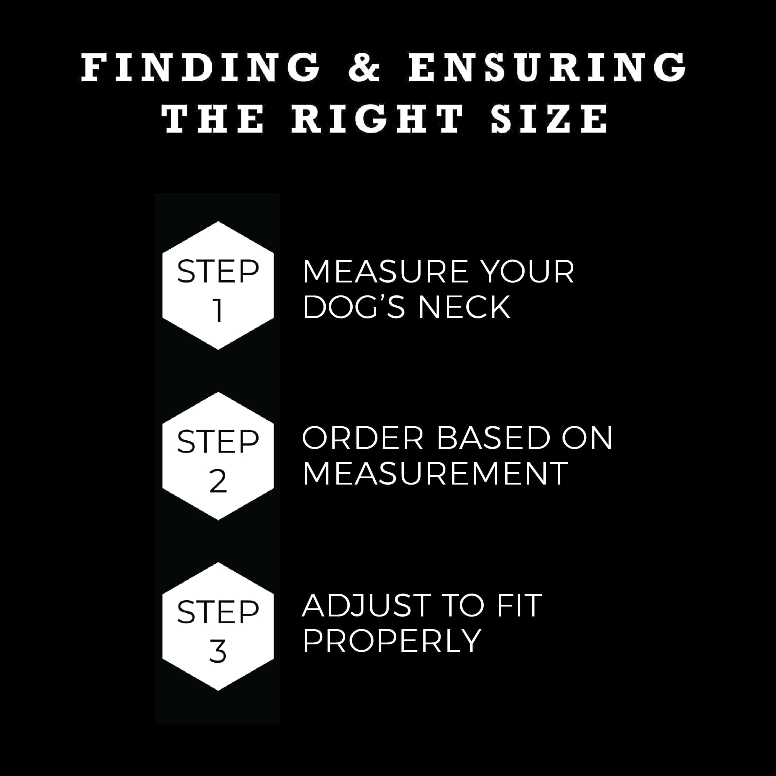 Wolfgang Heavy Duty, Adjustable Dog Collar With Quick Release Nylon Buckle For Walking & Training, Darkskies Print, Large