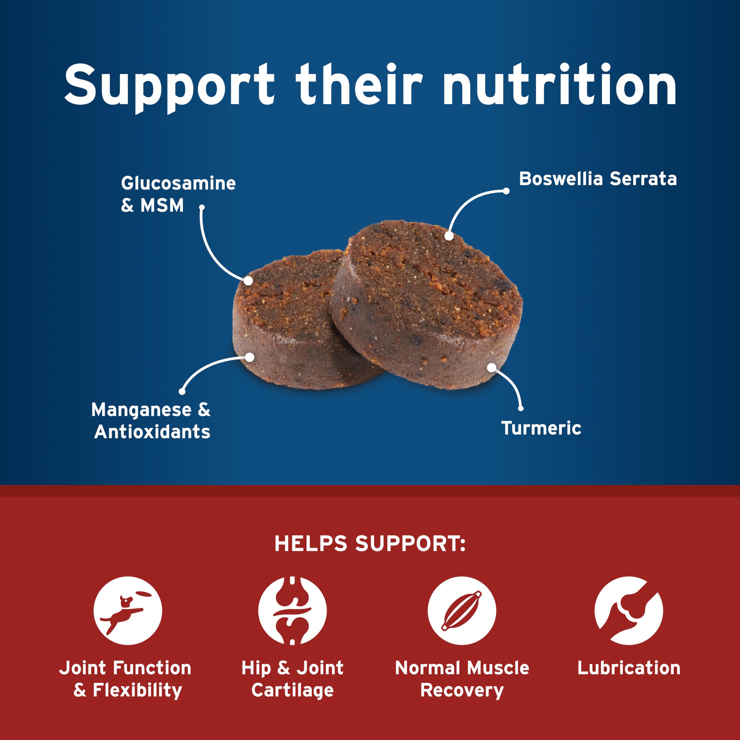 Pet Protect Dog Hip & Joint+ Supplement for Active & Aging Dogs, Vet-Formulated Synovi G4, Dog Glucosamine, Chicken-Flavored Sof