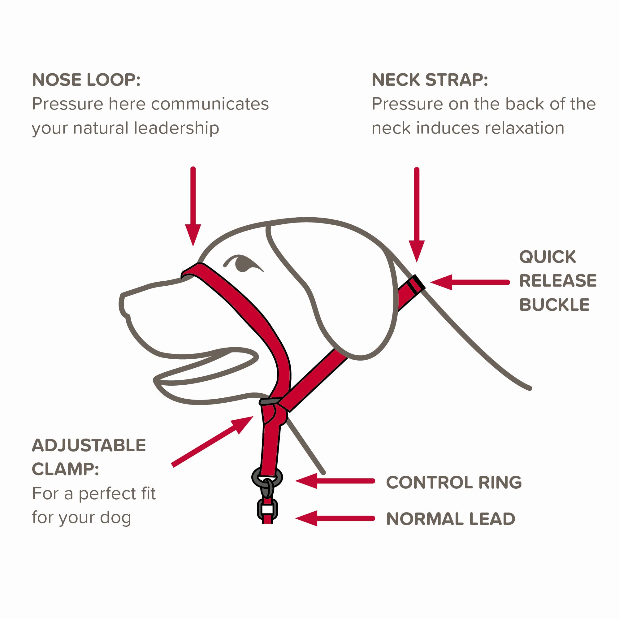Beaphar | Gentle Leader | Head Collar For Medium Dogs | Stops Pulling On The Lead | Training Aid With Immediate Effect | Endorsed By Behaviourists | Red X 1