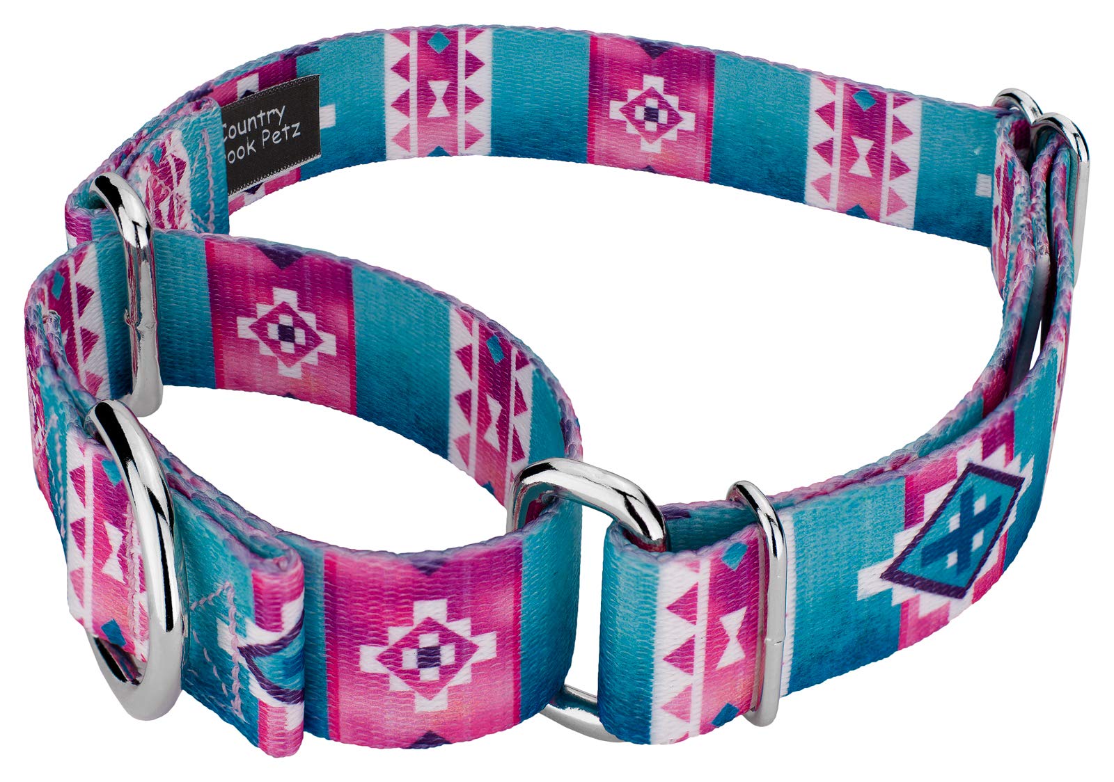 Country Brook Petz - Albuquerque Martingale Dog Collar - Country And Western Collection Featuring Rustic Designs (1 Inch, Medium