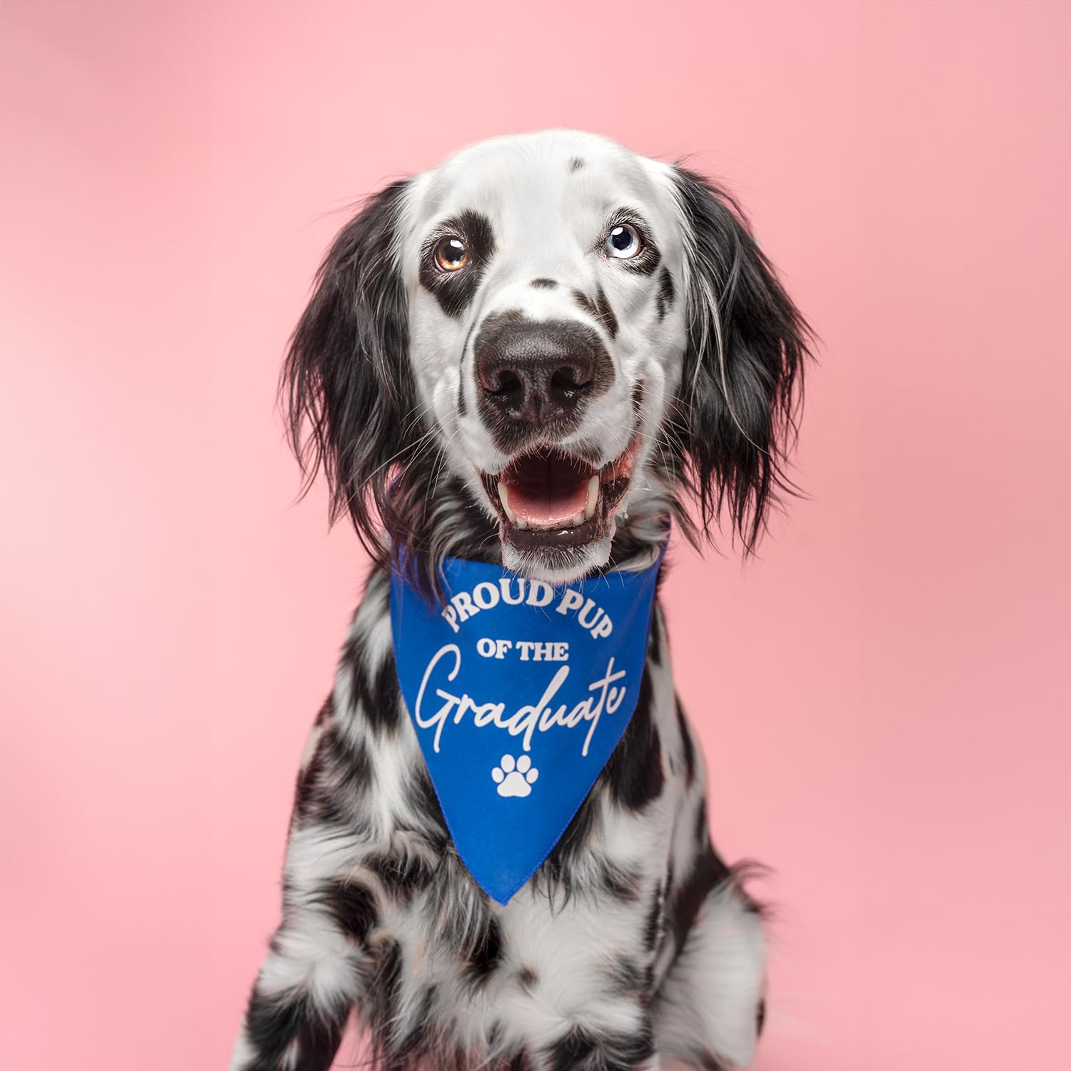 Proud Pup Of The Graduate Graduation Class Of 2024 Dog Bandana (737 Lime, One Size)
