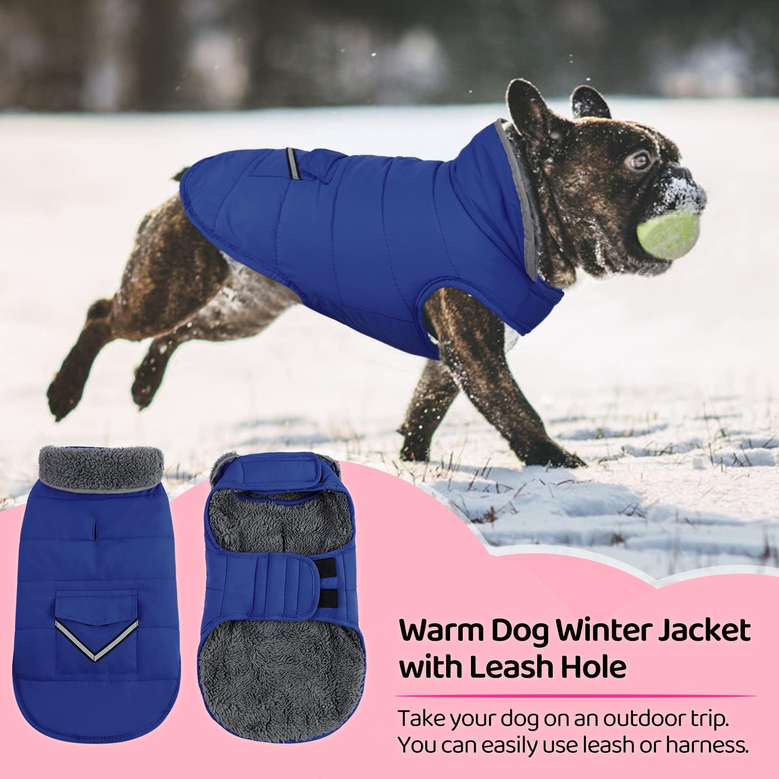 MIGOHI Warm Dog Coat - Winter Dog Jacket, Reflective Windproof Fleece Vest with Leash Hole and Furry Collar, Blue, Small to Larg