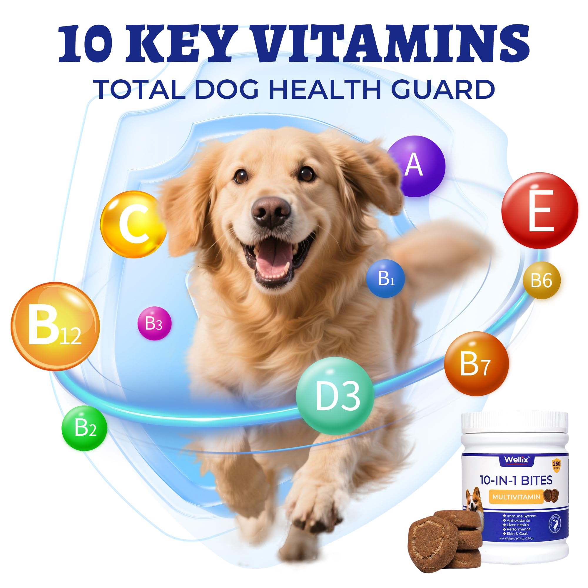 260 Bites Wellix 10-in-1 Dog Vitamins - Multivitamin for Dogs Immune Supports, Antioxidants, Boost Hip & Joint, Skin & Coat, Liv