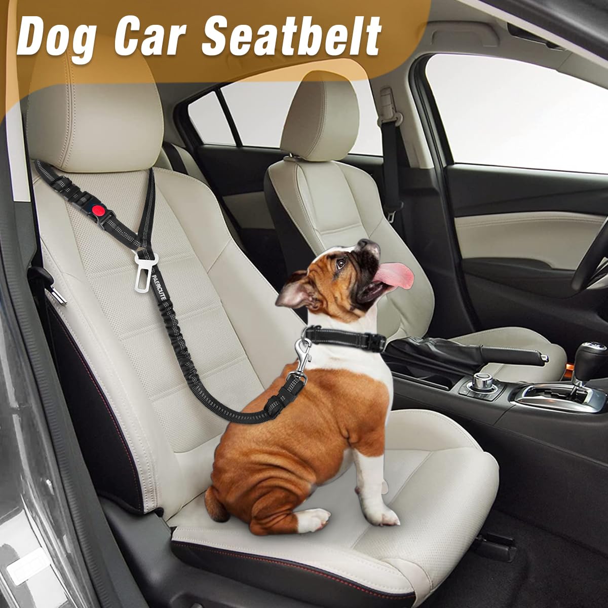 2 Piece Set Retractable Dog Car Seatbelts - Adjustable Pet Seat Belt for Vehicle Headrest Restraint - Heavy Duty & Elastic & Dur