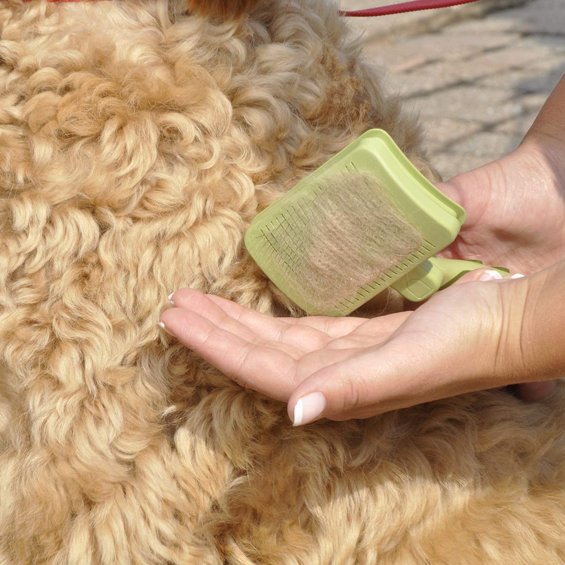 Coastal Pet Safari Dog Self-Cleaning Slicker Brush - Dog Deshedding Brush - Prevents Mats And Tangled Hair - For Dogs With Short Or Long Hair - Medium - 4.25' X 4.06'