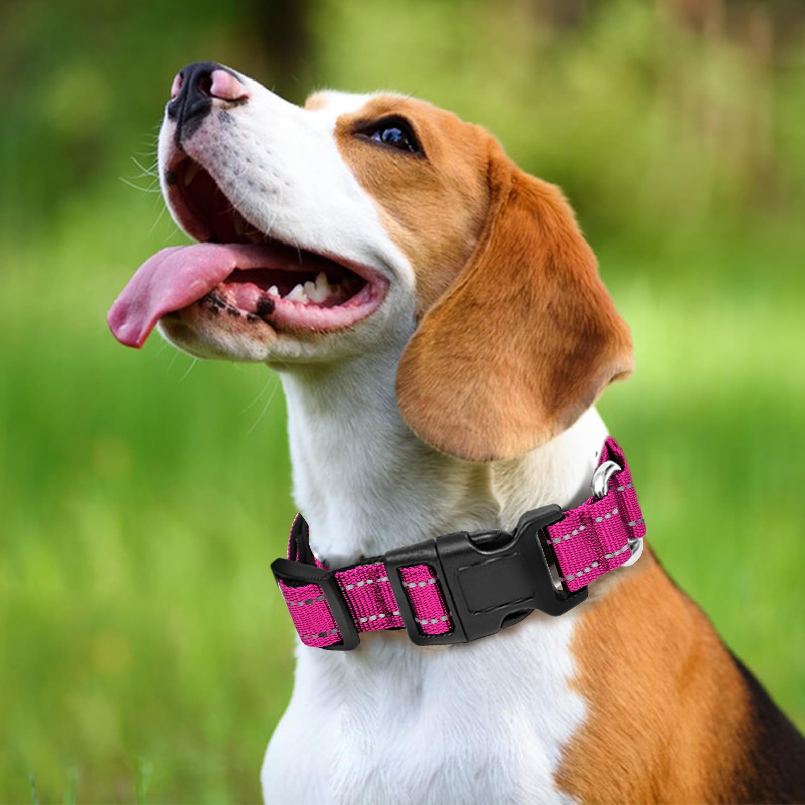 Reflective Martingale Dog Collars. Dog Collar With Quick Release Buckle. Adjustable Soft Padded Breathable Nylon Pet Collar Suit