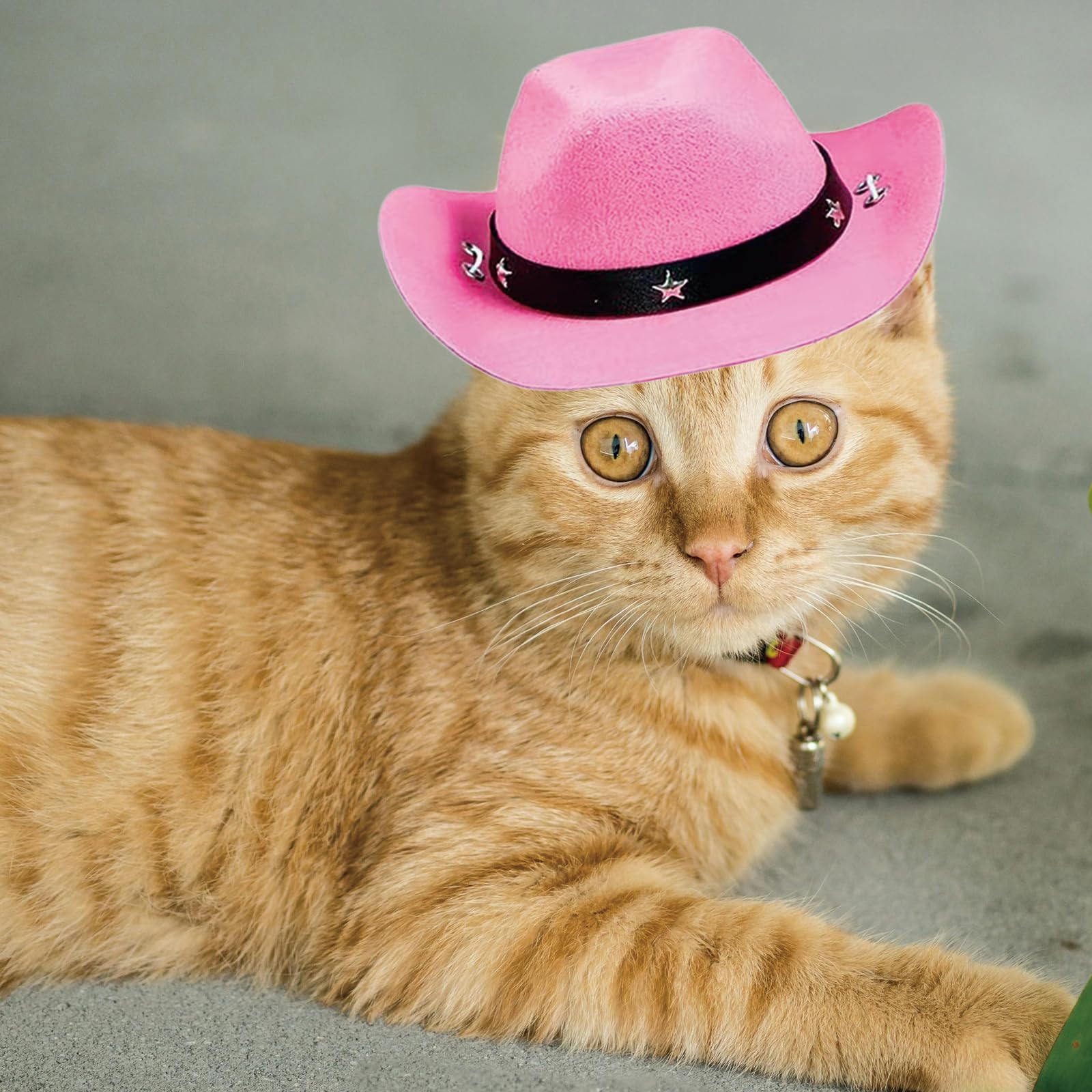 Awocan Pet Dog Costume Cowboy Hat Cosplay Cap Puppy Pet Dog Cat Holiday Pet Party Decoration (Pink)