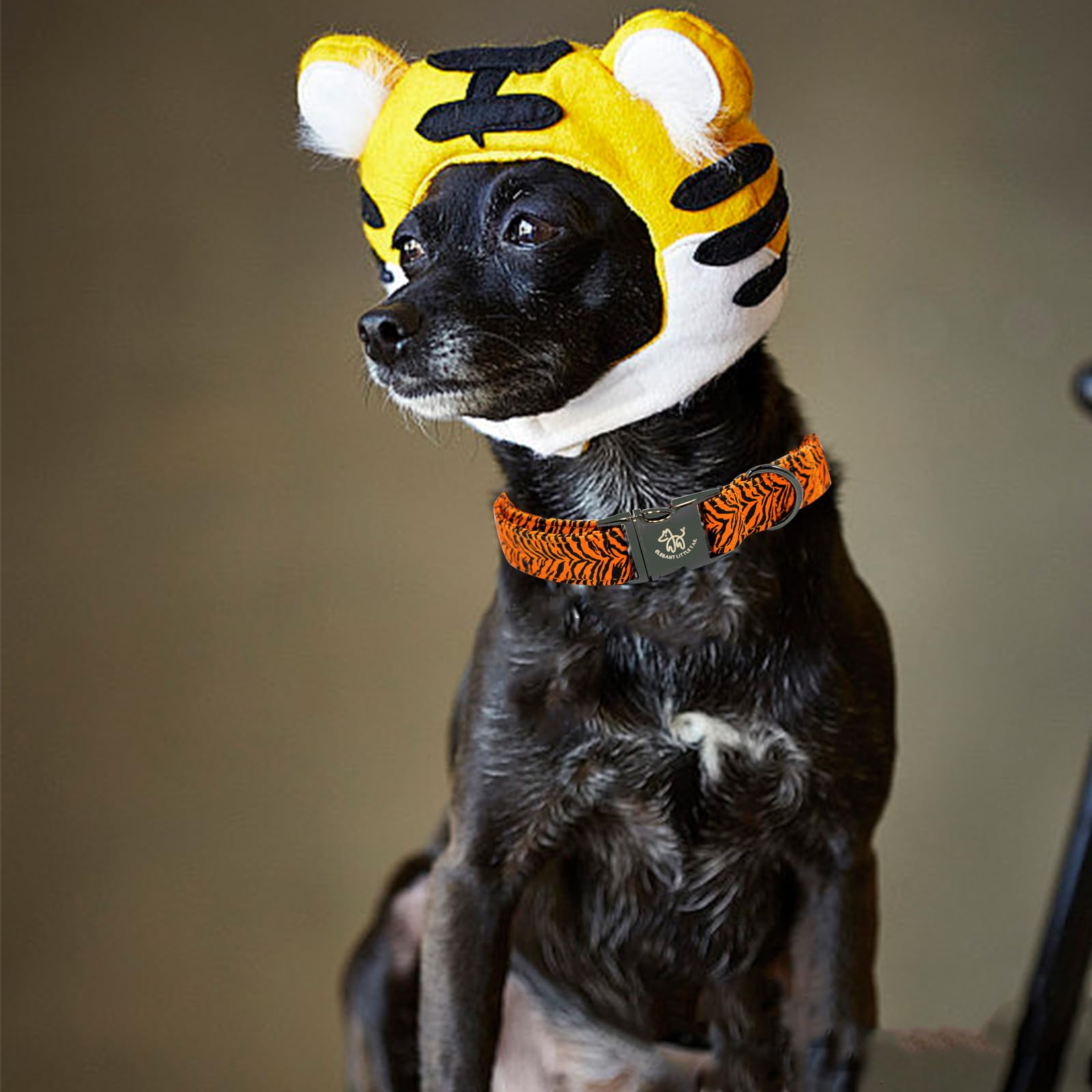 Elegant Little Tail Dog Collar, Tiger Print Pet Collar Summer Dog Collar Boy Pet Collar Dog Cotton Durable Dog Collar Metal Buck