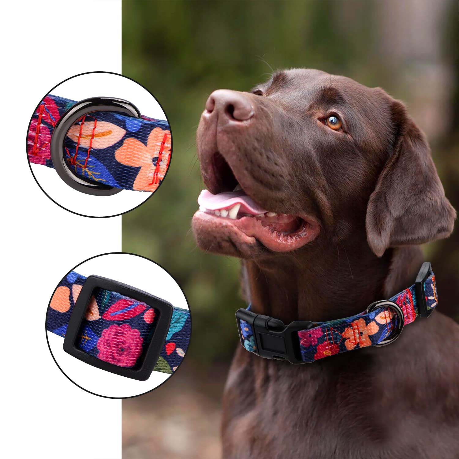 Rhea Rose Dog Collar For Small Dogs Special Design Cute Floral Plant Pattern Girl Female Pet Collar (Black, S)