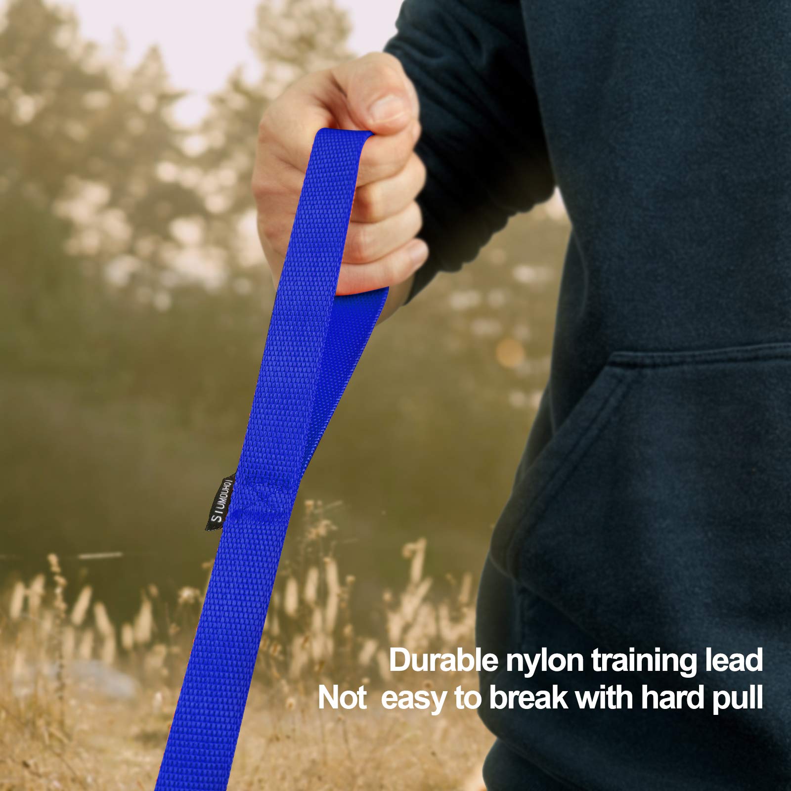 Siumouhoi Dog/Puppy Obedience Recall Training Agility Lead-15 Ft 20 Ft 30 Ft 40 Ft 50 Ft Long Leash -For Training Leash, Play, Safety, Camping,Or Backyard (20Feet, Blue)