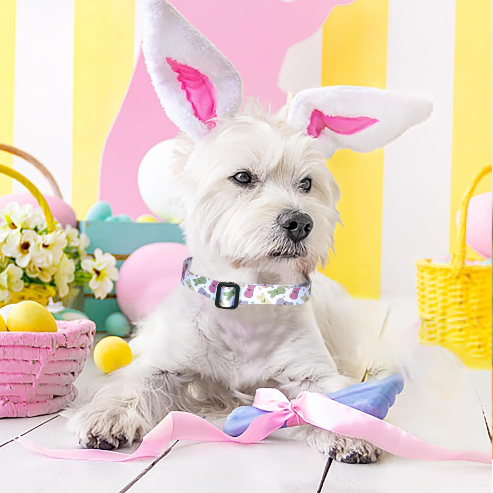 Easter Dog Collar Cat Collars - Peeps Eggs Print Puppy Collar With Buckle - Adjustable Holiday Party Pet Collars For Small Mediu