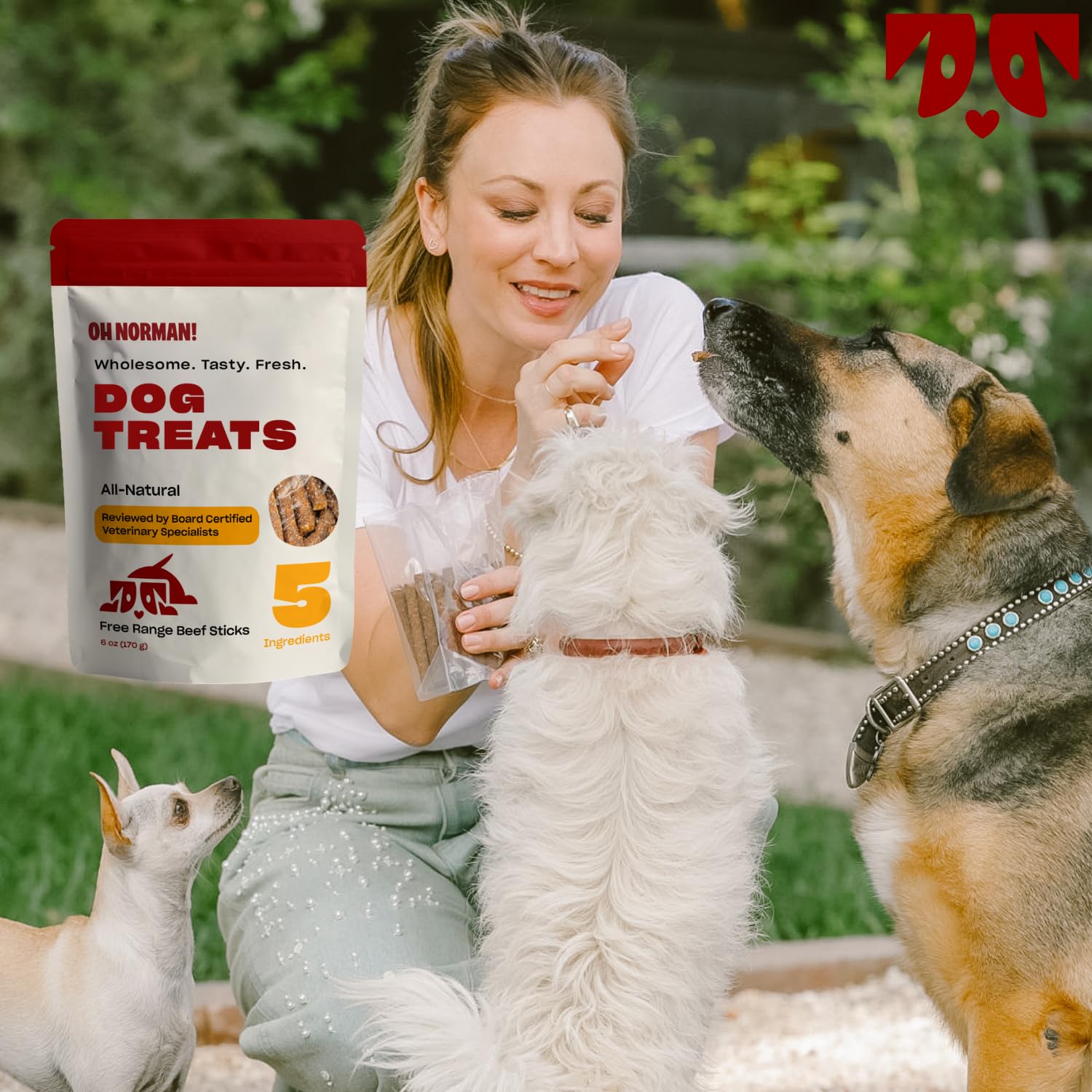 OH NORMAN! Soft Beef Jerky Dog Treats, Healthy, Air Dried, 6 Oz, All Life Stages, Ethically Sourced Free Range Beef
