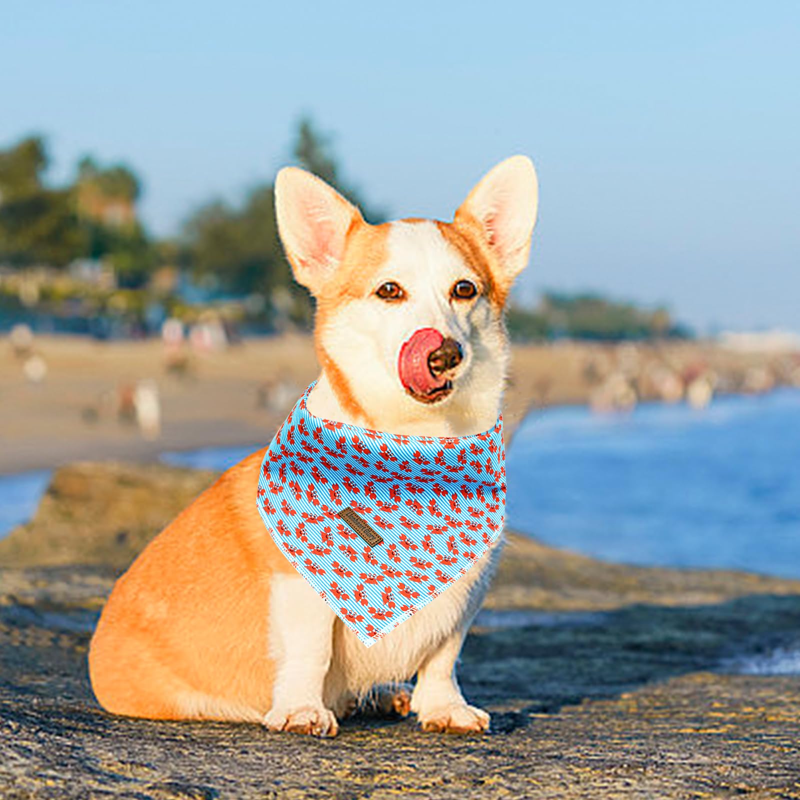 Lionheart Glory Blue Stripe Dog Bandana 1 Pack Washable Soft Dog Scarf, Square Adjustable Dog Bandanas For Small Medium Ogs, N:C