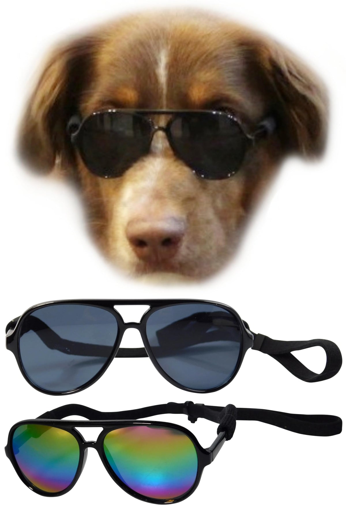 G010 Dog Pet Costume Prop Aviator Sunglasses Medium Breeds 20-40 Lbs ( – Petocart