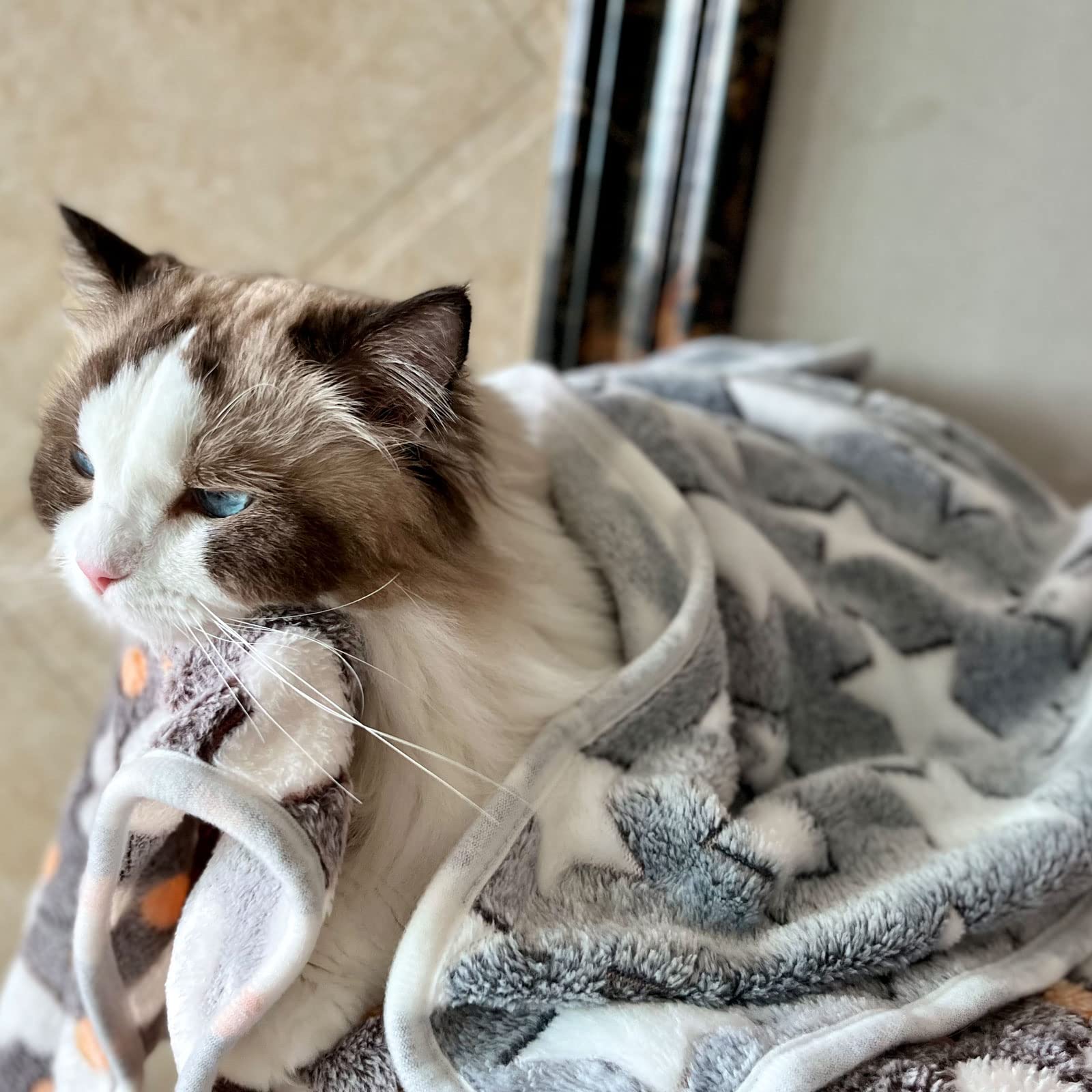 1 Pack 3 Puppy Blankets Cat Dog Blankets Super Soft Warm Sleep Mat Grey Star Cute Print Blanket Fluffy Fleece Pet Blanket Flannel Throw For Small Dogs Puppy Dogs Cats Large(40'X30')