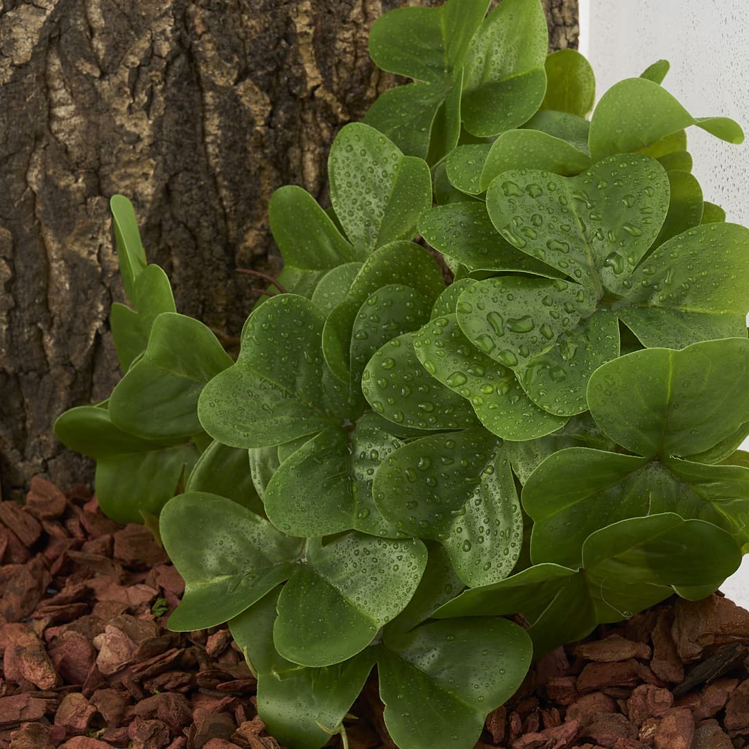 Woledoe Reptile Plants For Terrarium, Amphibian Habitat Decor Artificial Hanging Plants With Suction Cup - Fake Shamrock