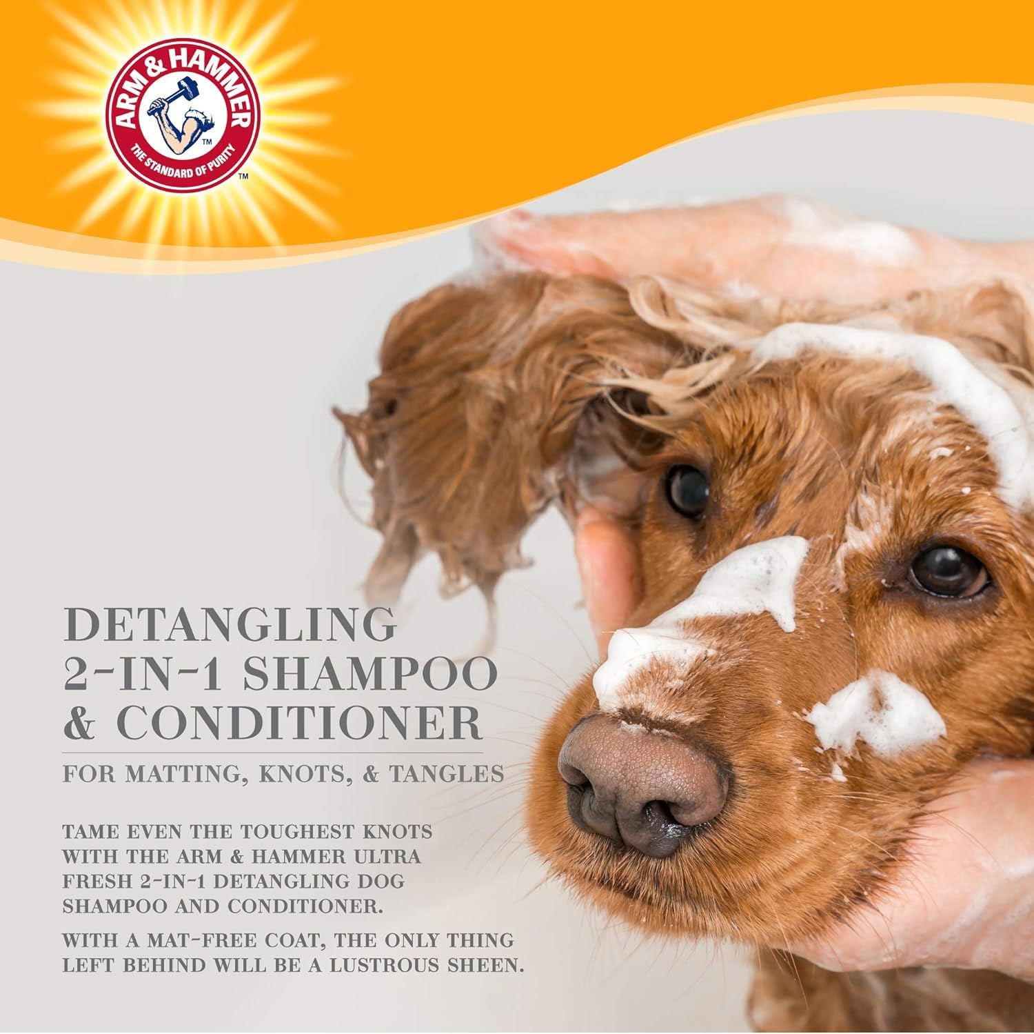 Arm & Hammer Ultra Fresh 2-in-1 Detangling Shampoo + Conditioner, Cucumber Pear Scent - Dog Bathing with Coconut Oil, Baking Sod
