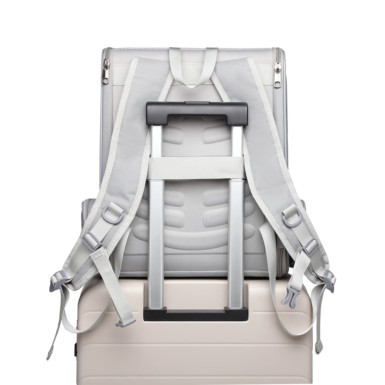 Texsens Pet Backpack Carrier For Small Cats Dogs | Ventilated Design, Safety Straps, Buckle Support, Collapsible | Designed For