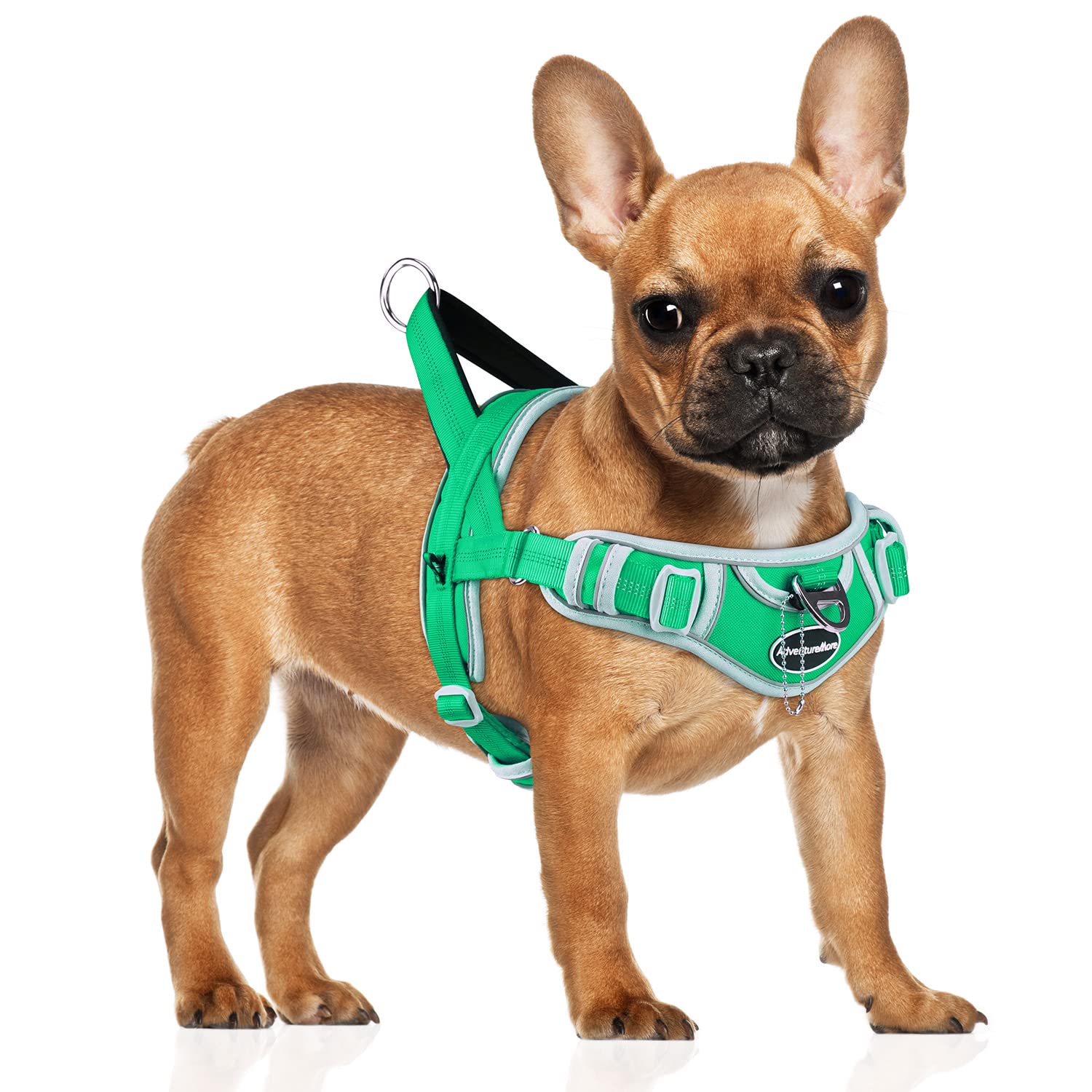 Adventuremore Dog Harness For Small Dogs No Pull, Dog Halter Harness Adjustable Reflective Dog Vest Escape Proof Dog Harness With Easy Control Front Clip Handle For Training Walking S Green