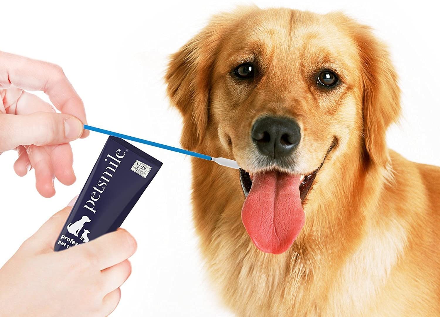 Petsmile Professional Pet Toothpaste Applicator Swabs | Easily and Effectively Spreads Dog Toothpaste to Promote Oral Hygiene |