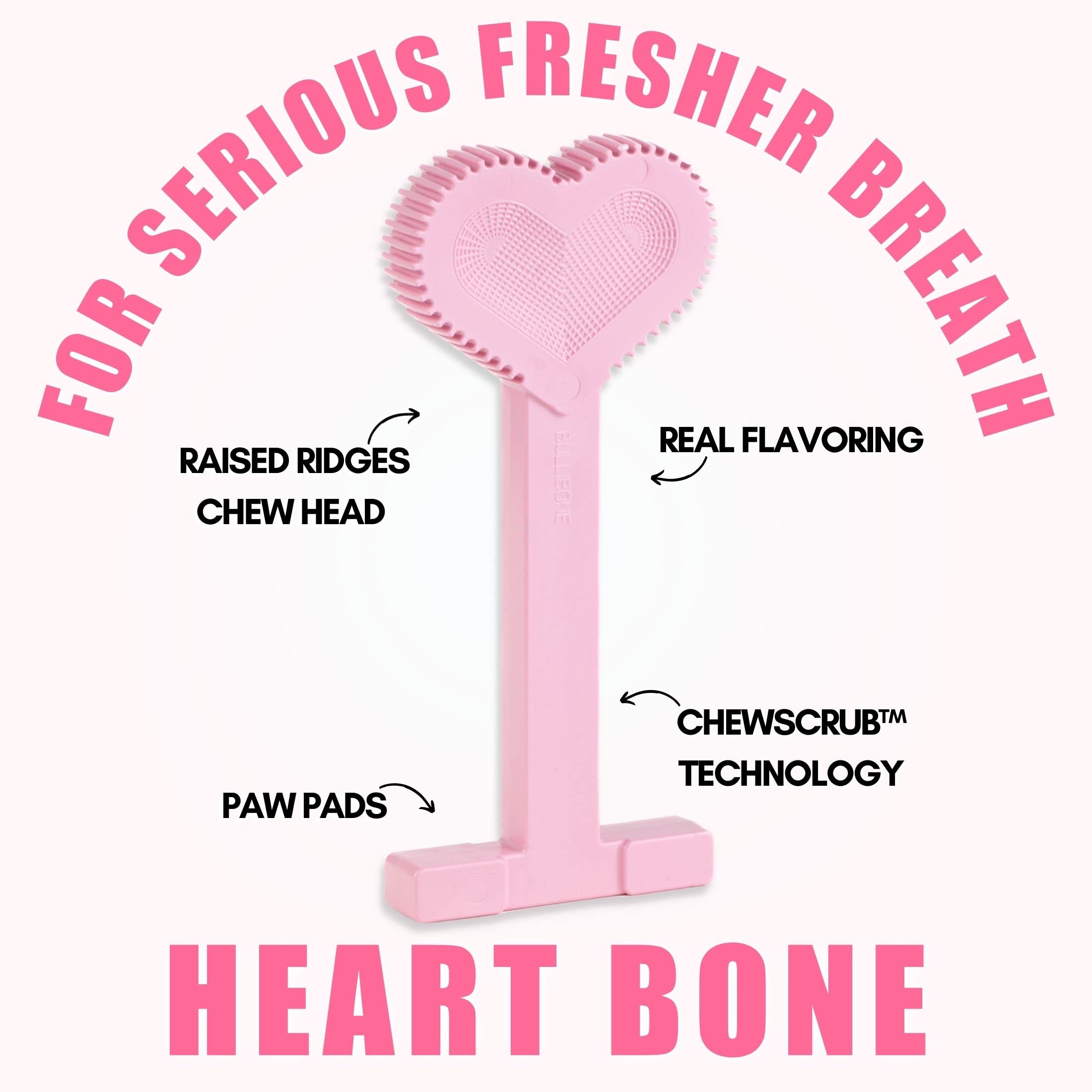 Bullibone Nylon Dog Chew Toy Nylon Bone - Improves Dental Hygiene, Easy To Grip Bottom, And Permeated With Flavor (Peppermint, Large - 2 Pack)