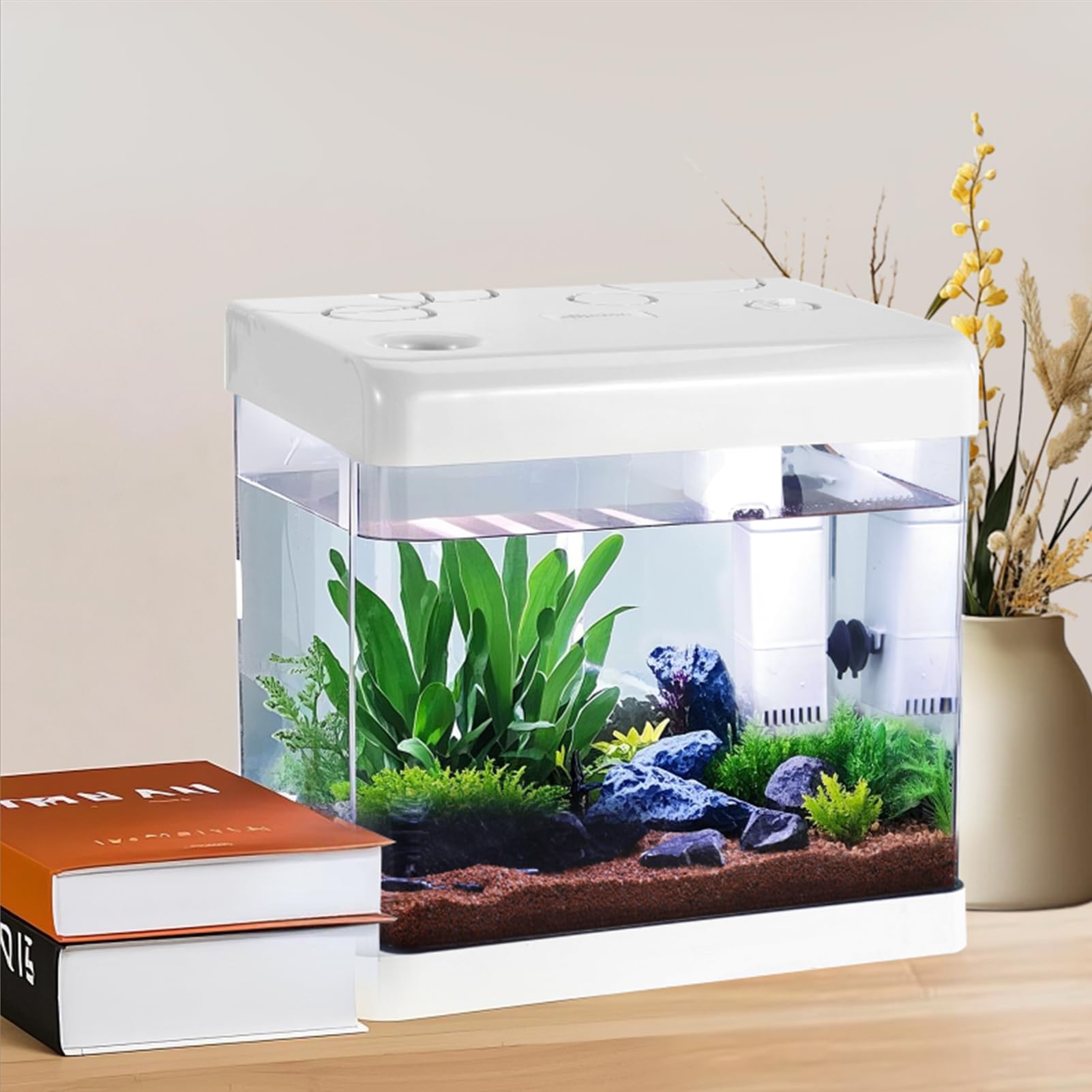 5 Gallon Glass Small Fish Tank,Betta Fish Tank With Filter And Light,White Aquarium Starter Kit.